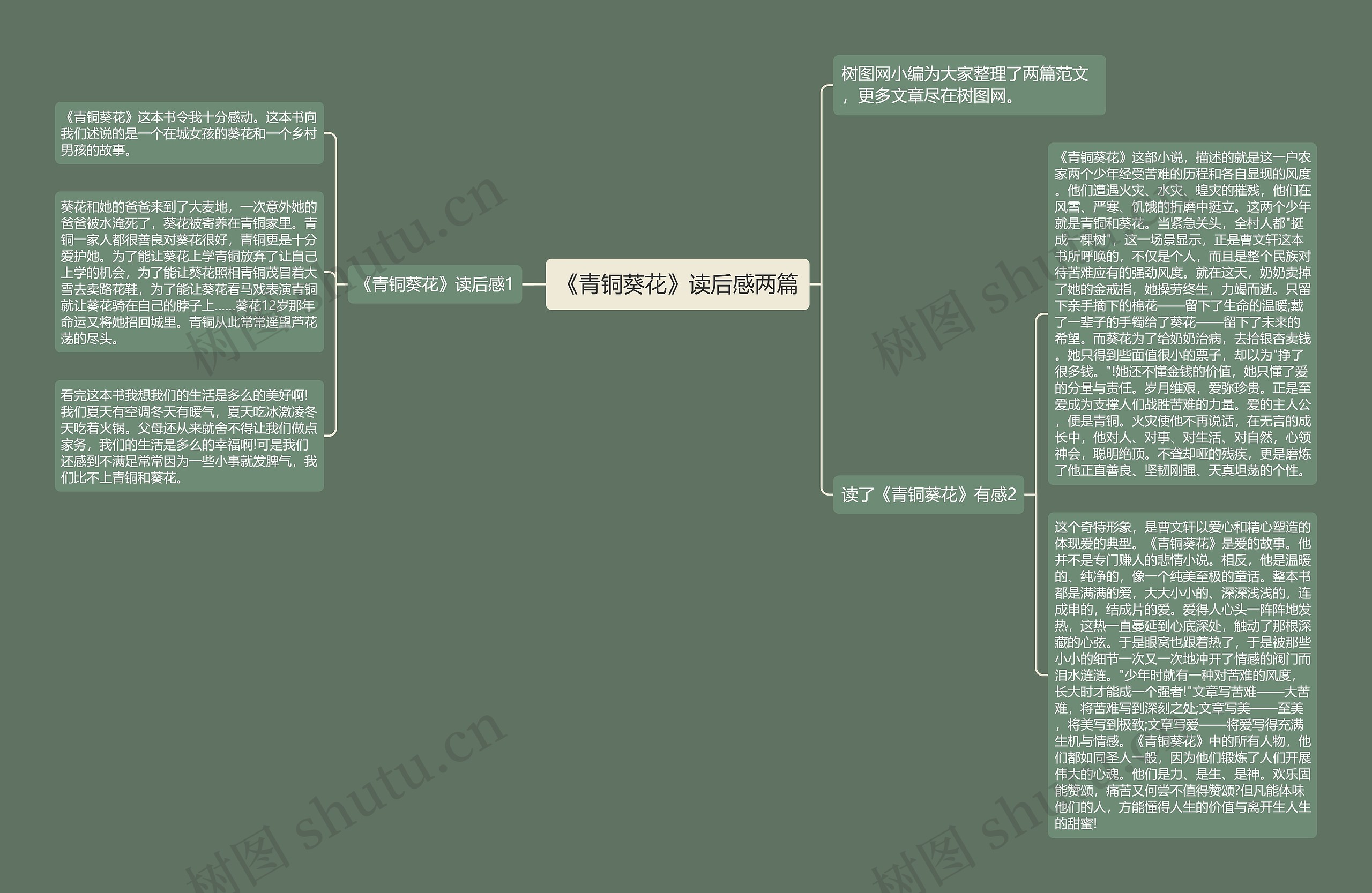 《青铜葵花》读后感两篇思维导图