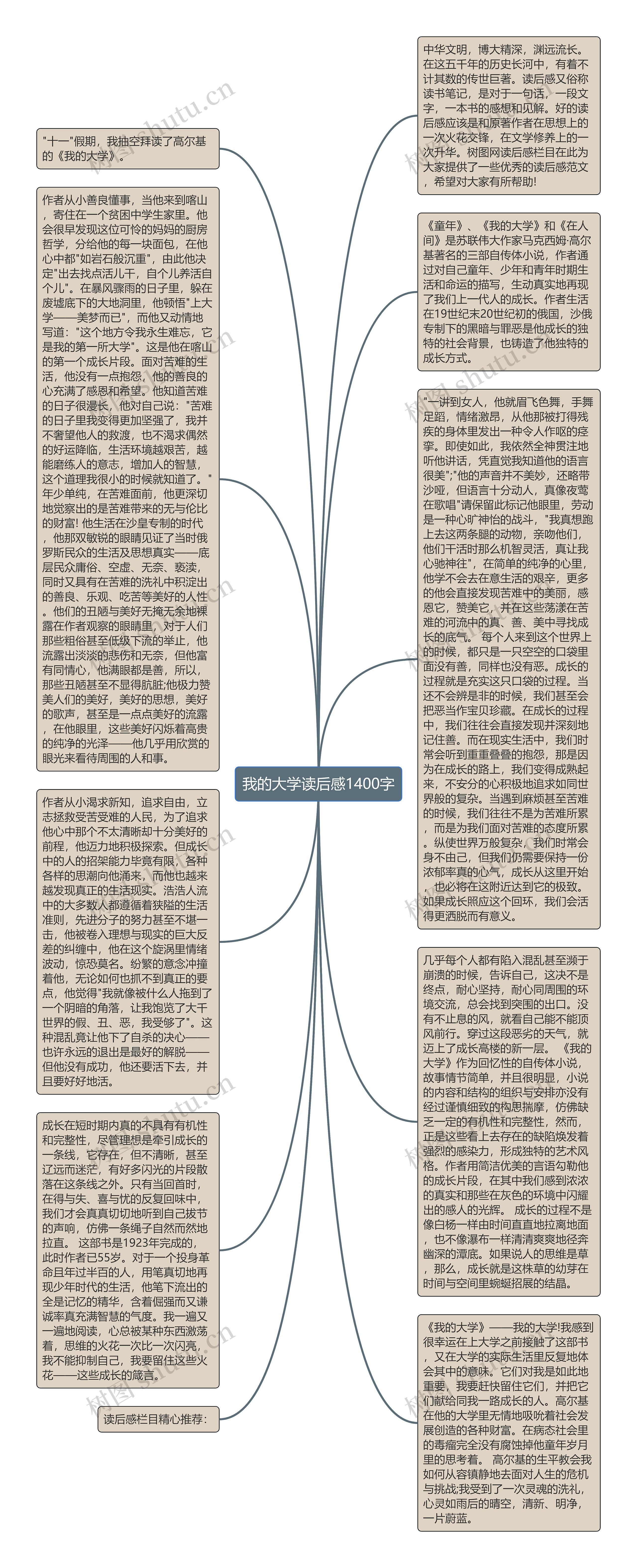 我的大学读后感1400字