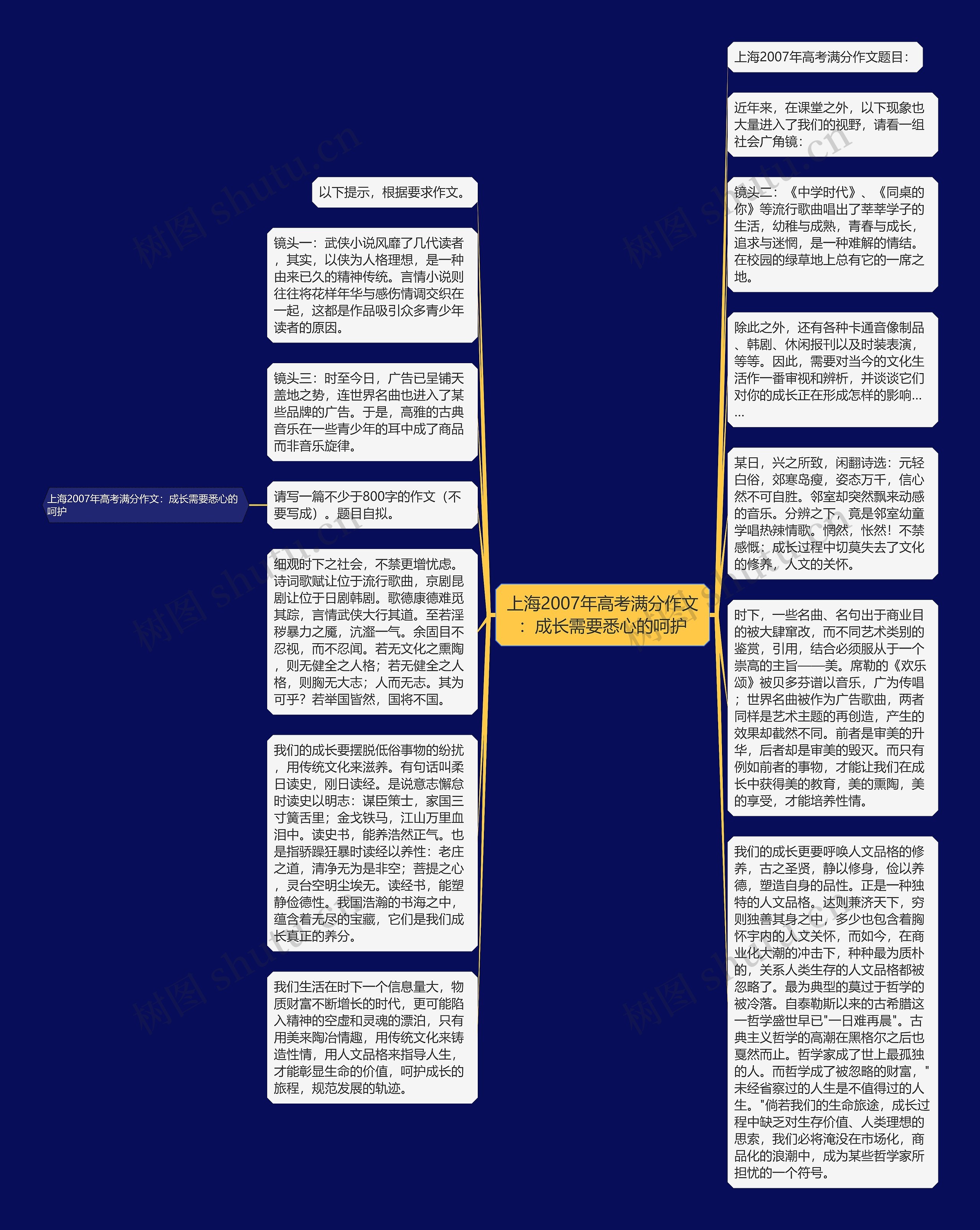 上海2007年高考满分作文：成长需要悉心的呵护