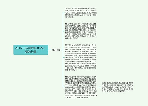 2016山东高考满分作文：我的行囊