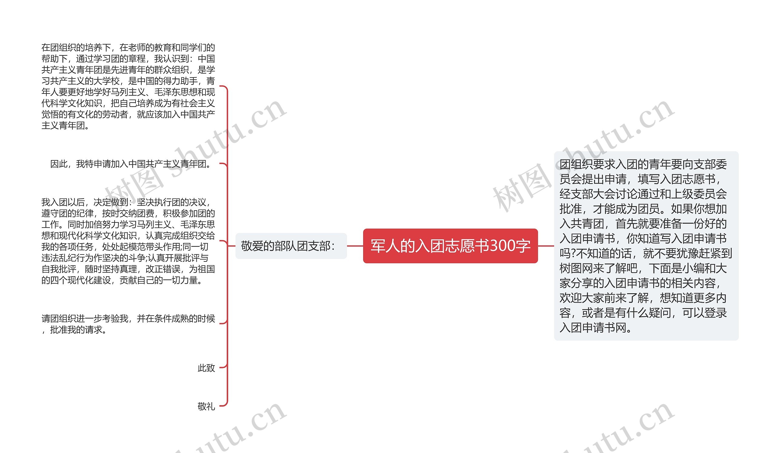 军人的入团志愿书300字