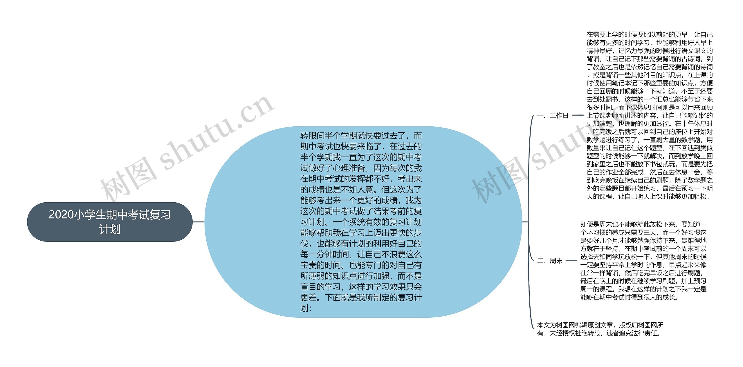 2020小学生期中考试复习计划