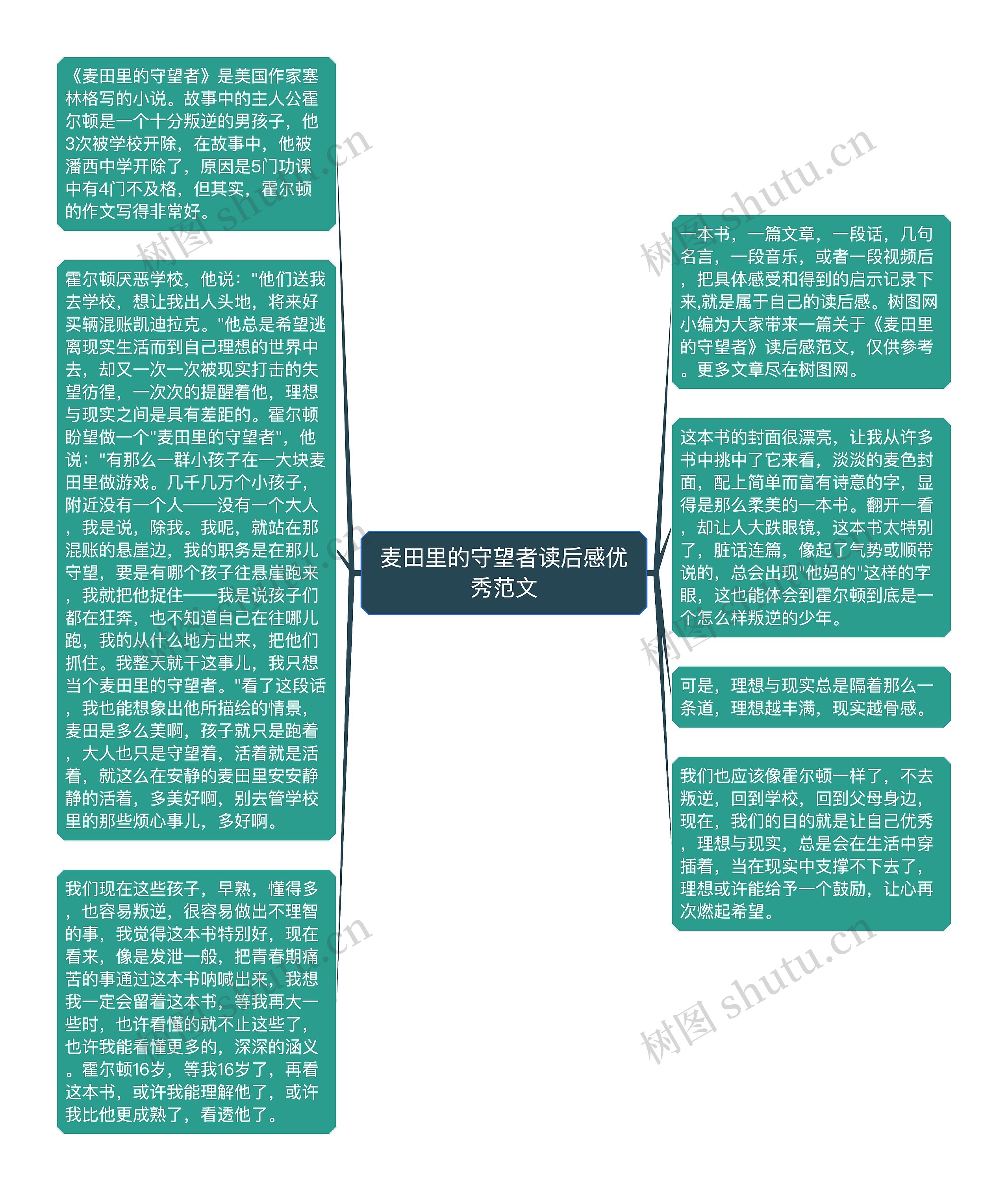 麦田里的守望者读后感优秀范文思维导图