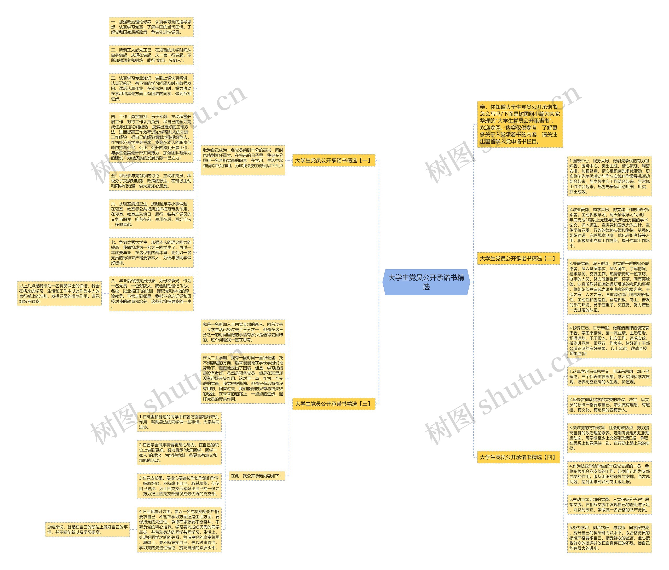 大学生党员公开承诺书精选思维导图