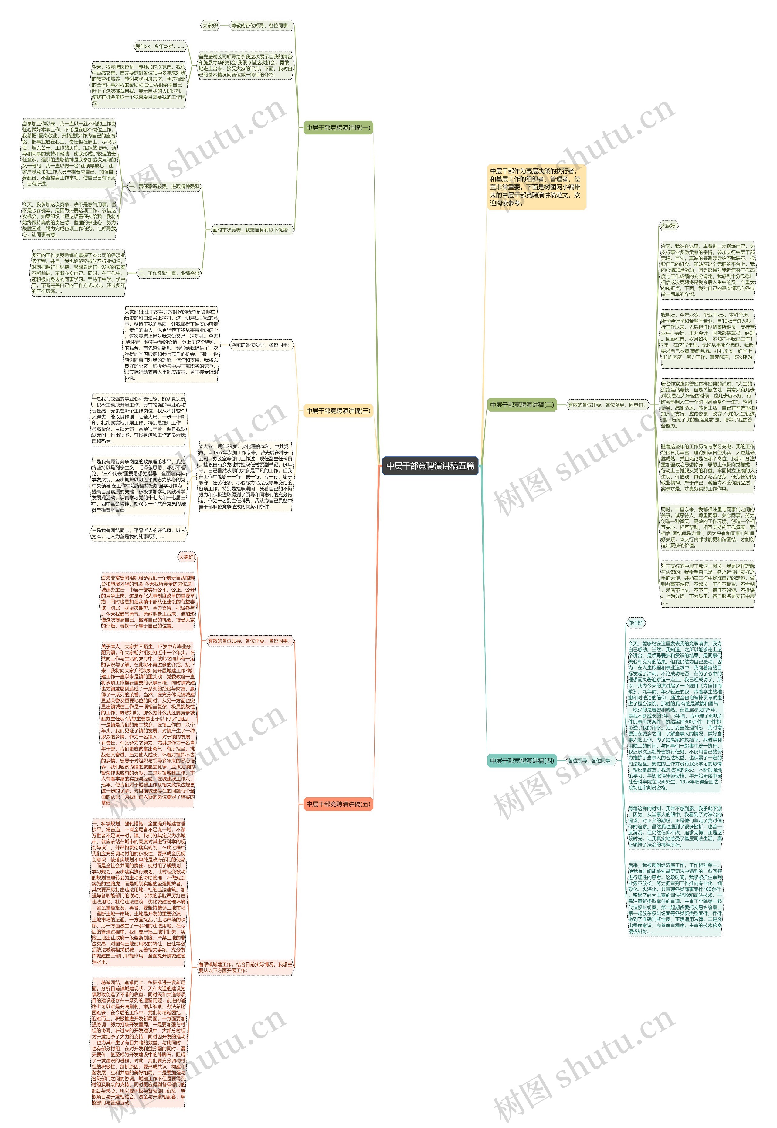 中层干部竞聘演讲稿五篇思维导图