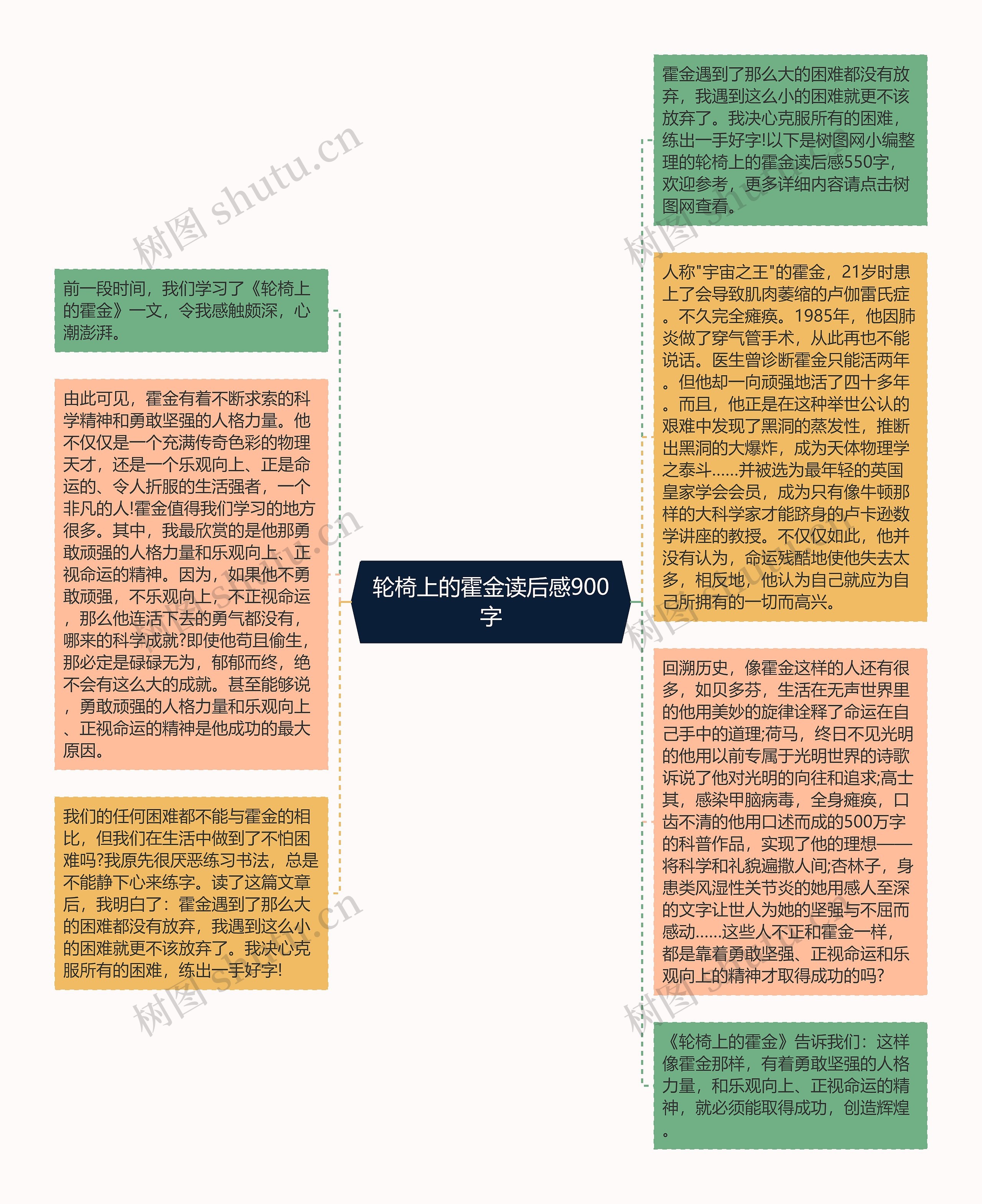 轮椅上的霍金读后感900字