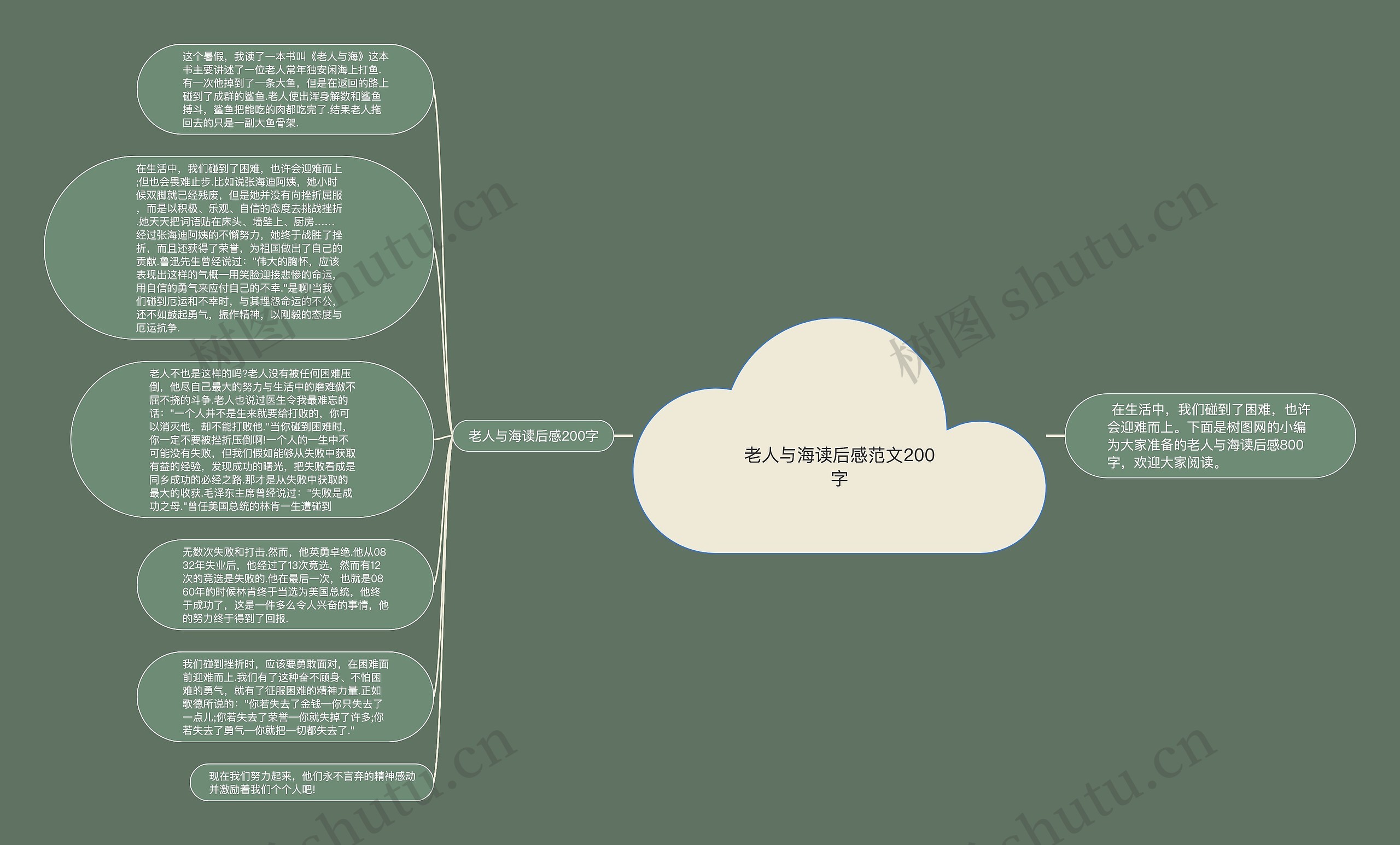 老人与海读后感范文200字