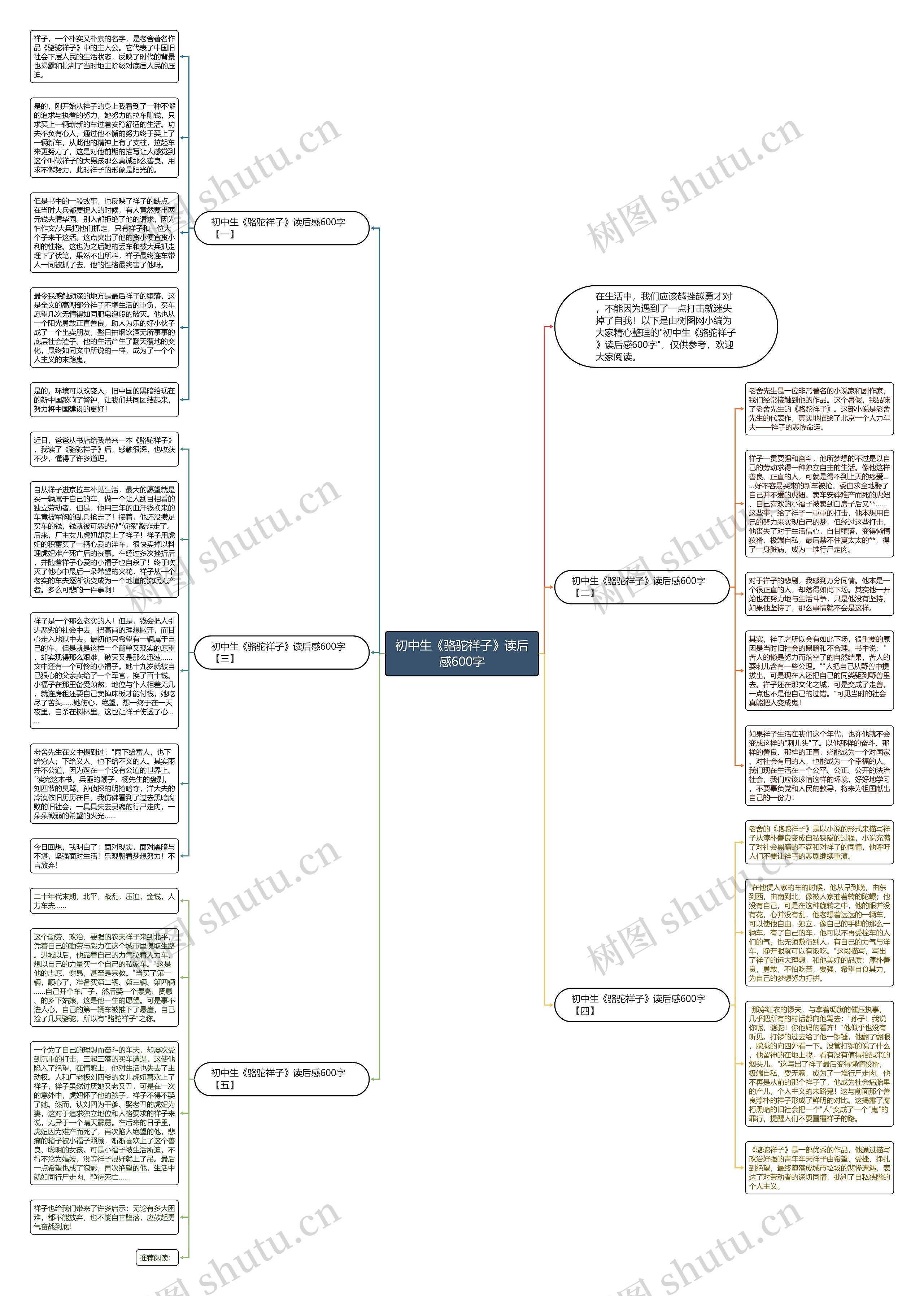 初中生《骆驼祥子》读后感600字思维导图