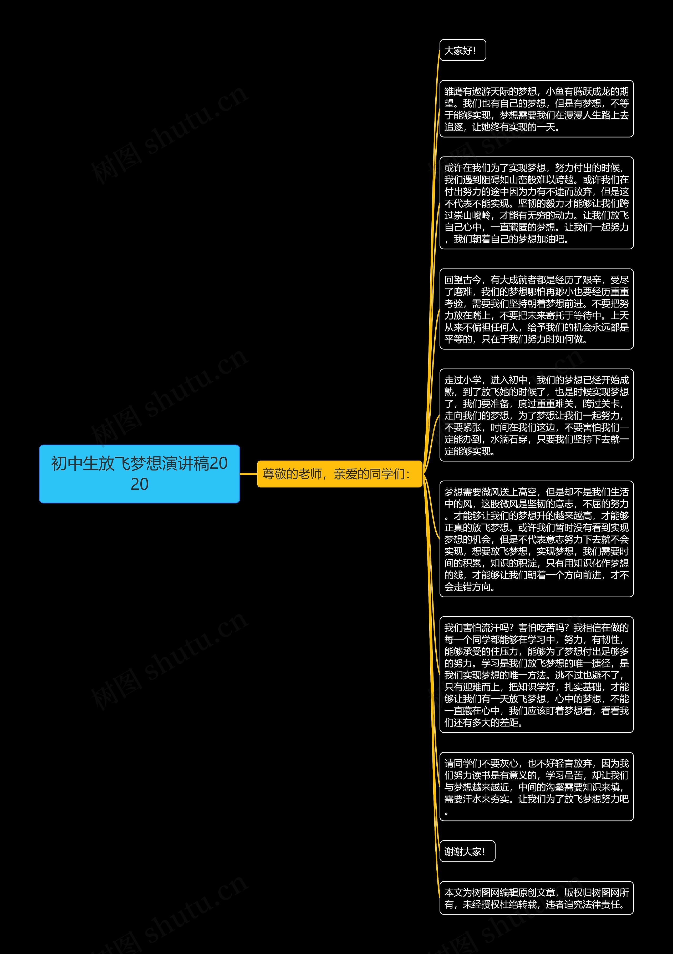 初中生放飞梦想演讲稿2020思维导图