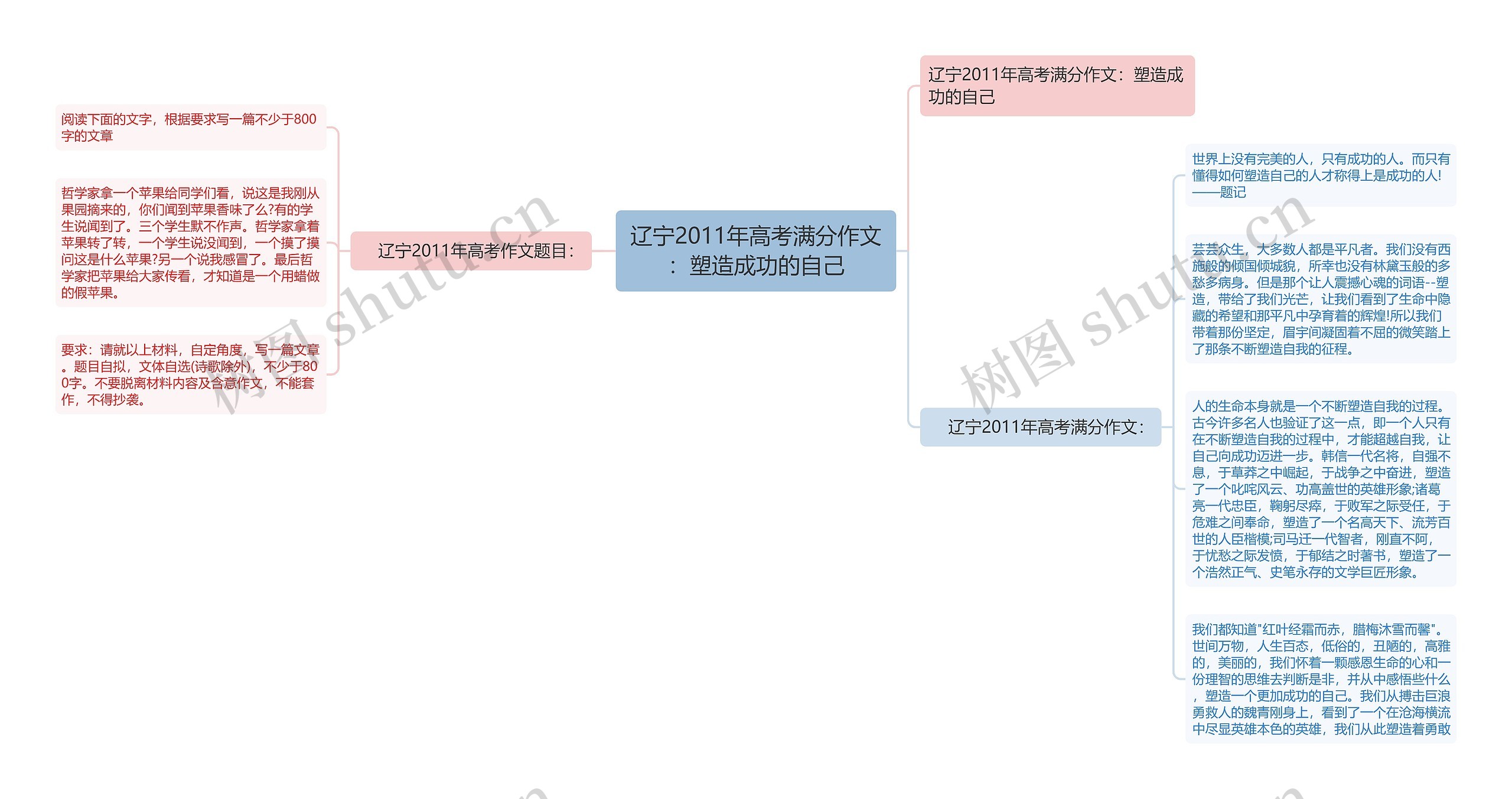 辽宁2011年高考满分作文：塑造成功的自己