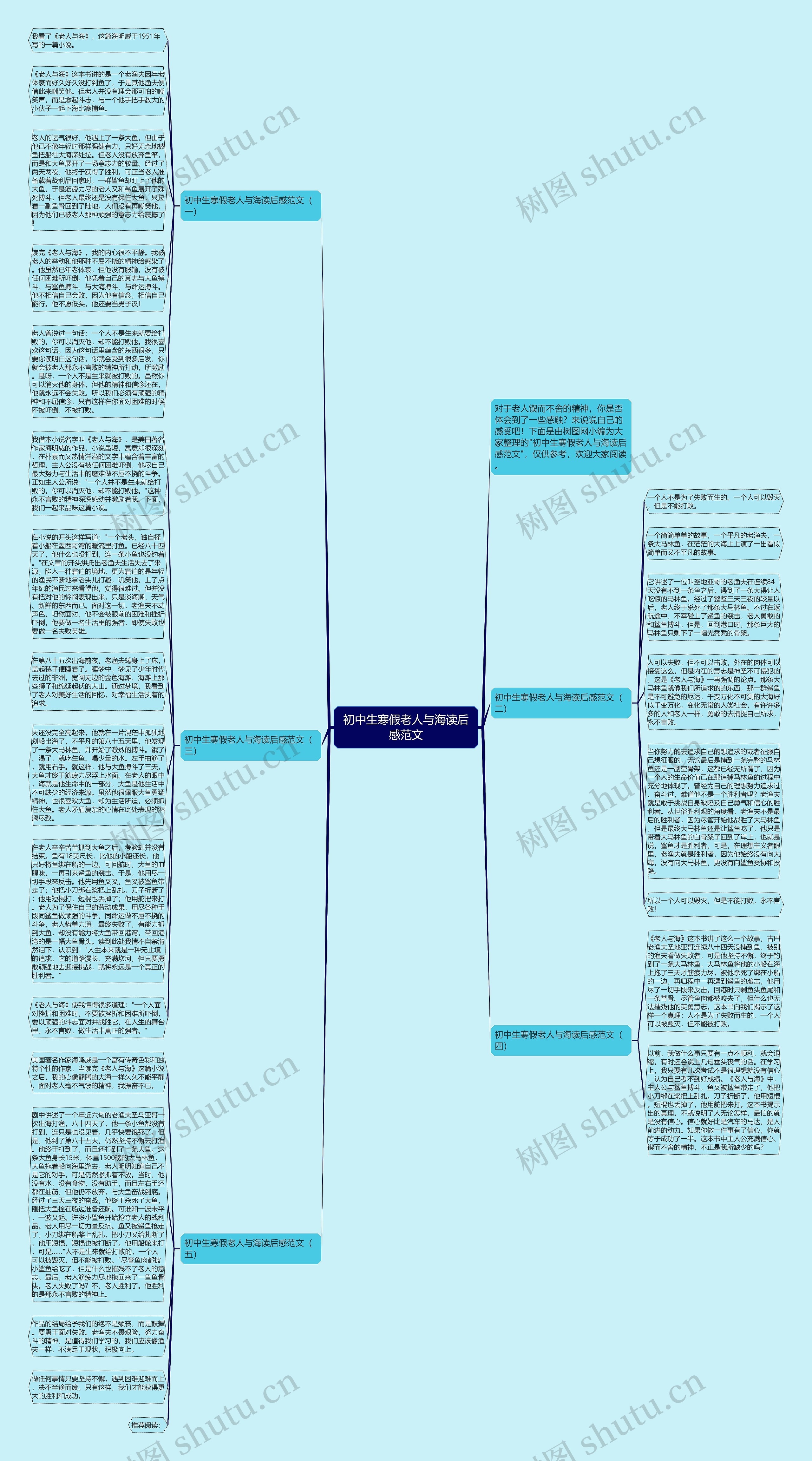 初中生寒假老人与海读后感范文思维导图