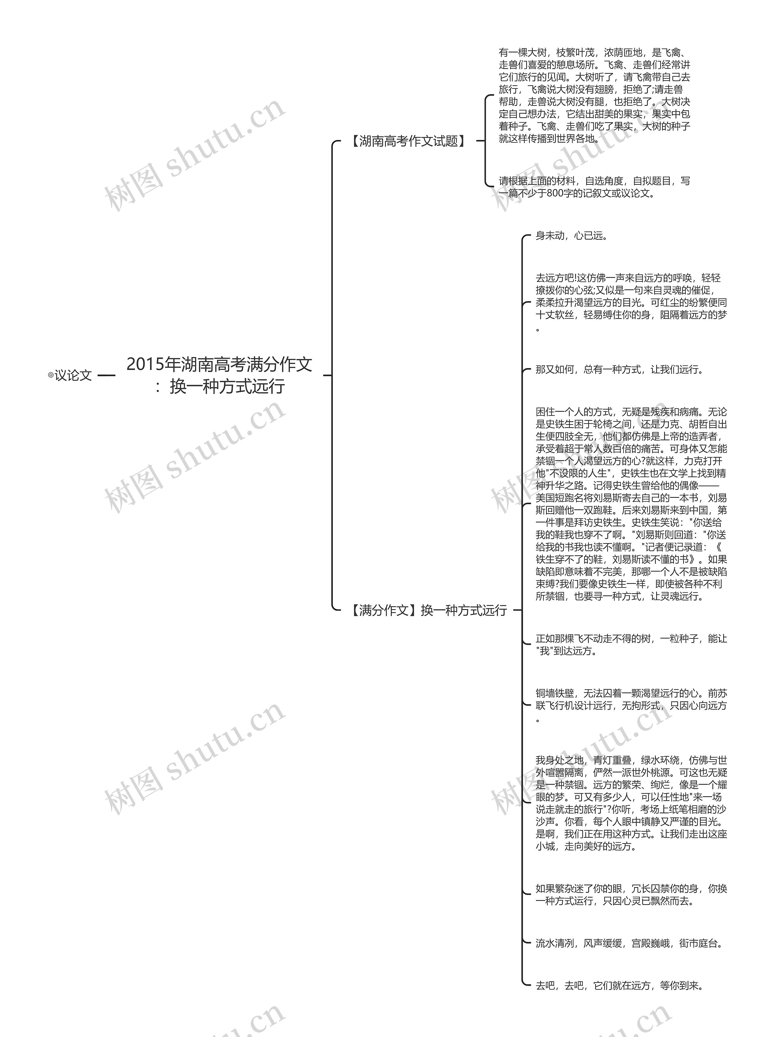 2015年湖南高考满分作文：换一种方式远行