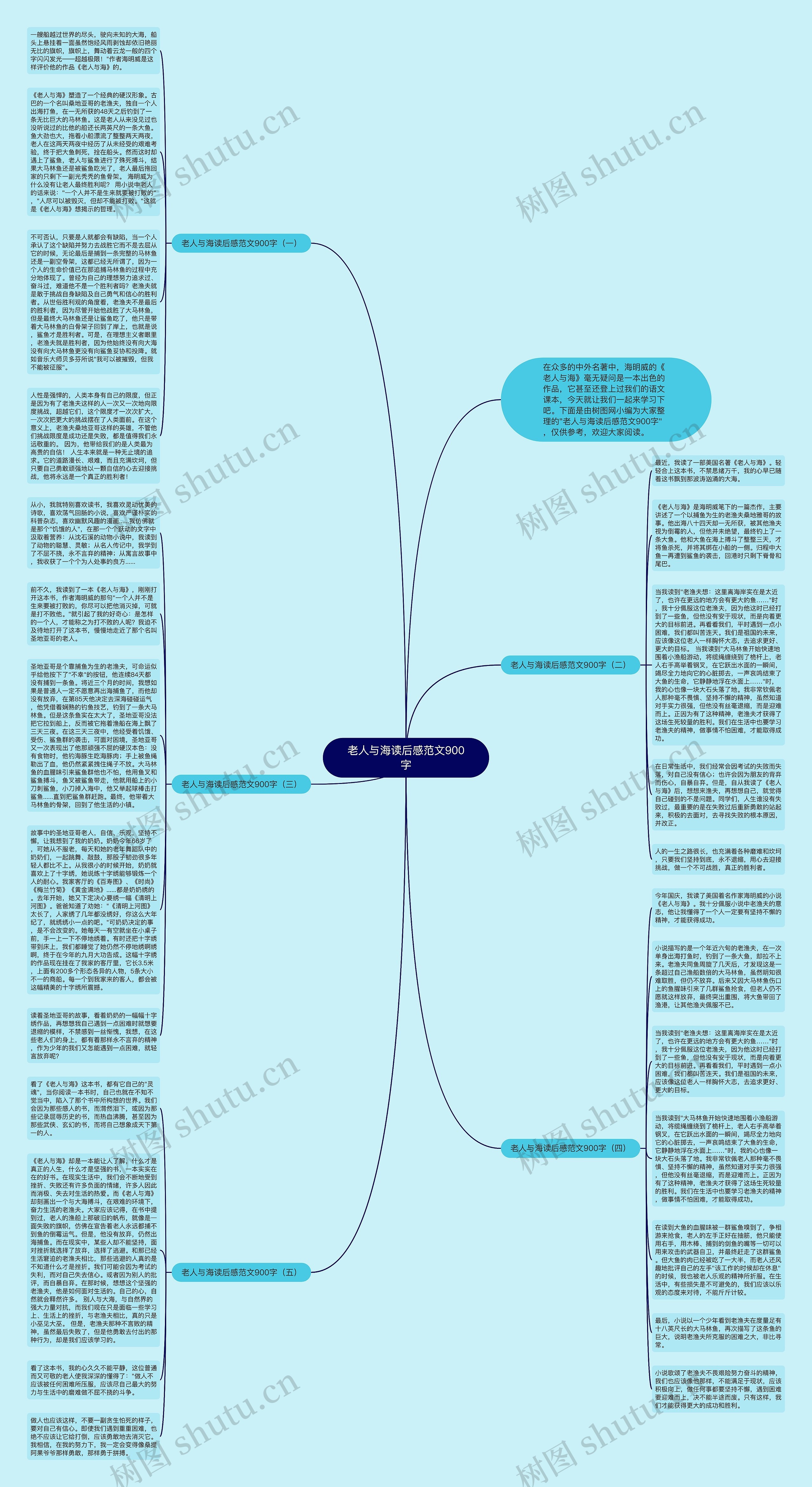 老人与海读后感范文900字思维导图