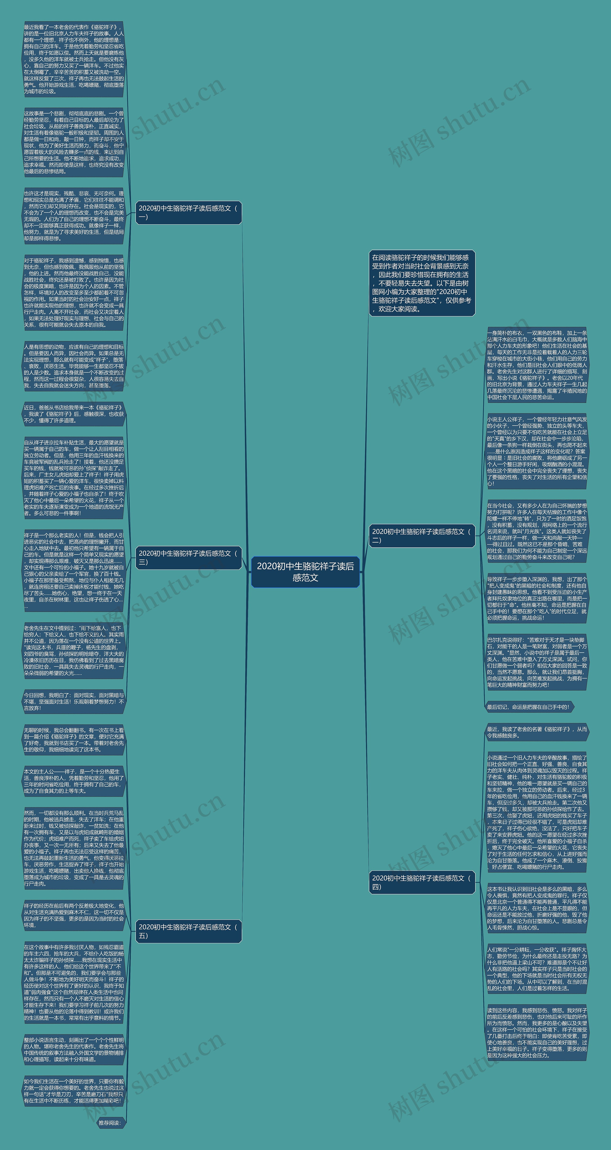 2020初中生骆驼祥子读后感范文思维导图