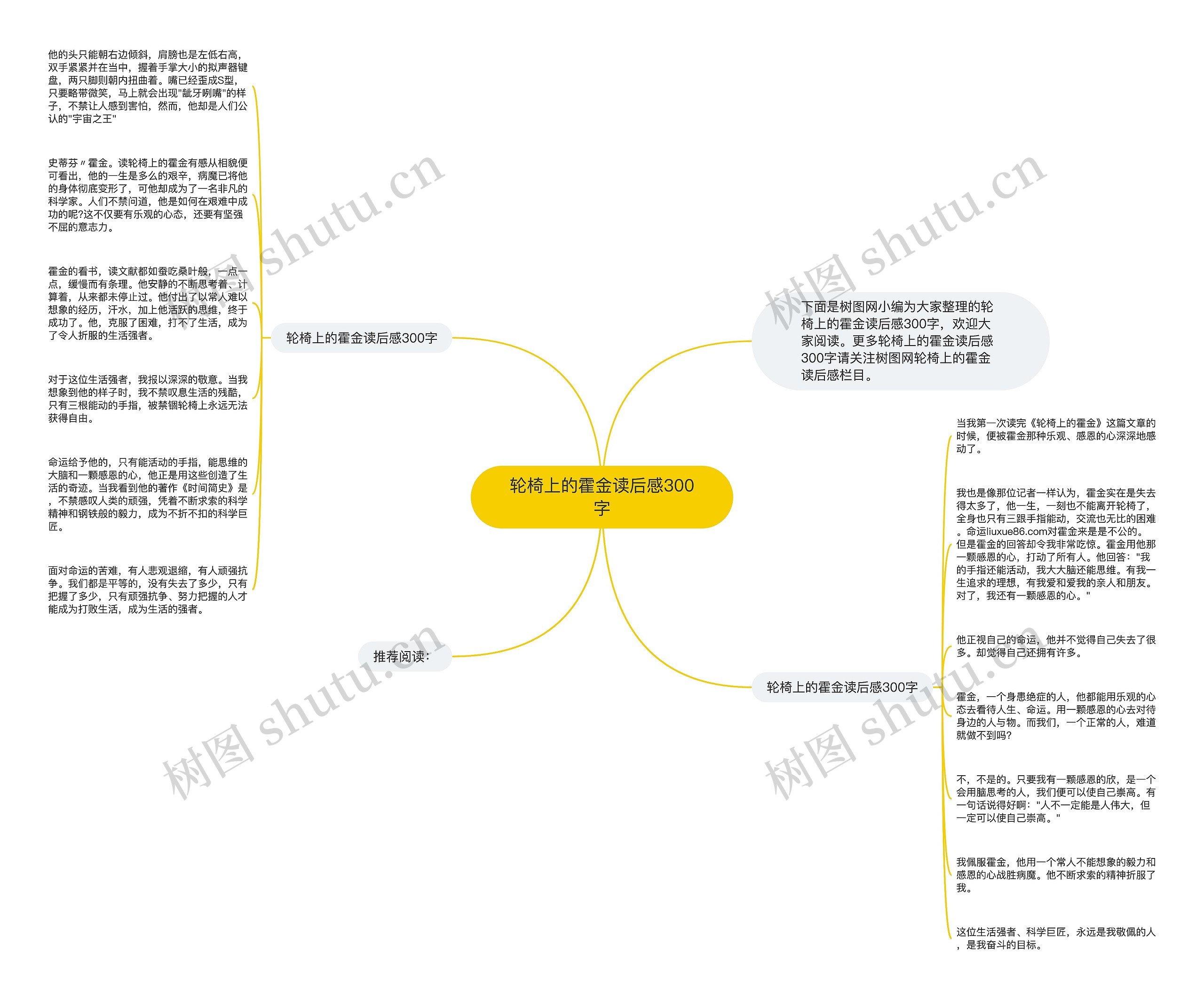 轮椅上的霍金读后感300字思维导图