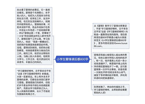 小学生雷锋读后感800字