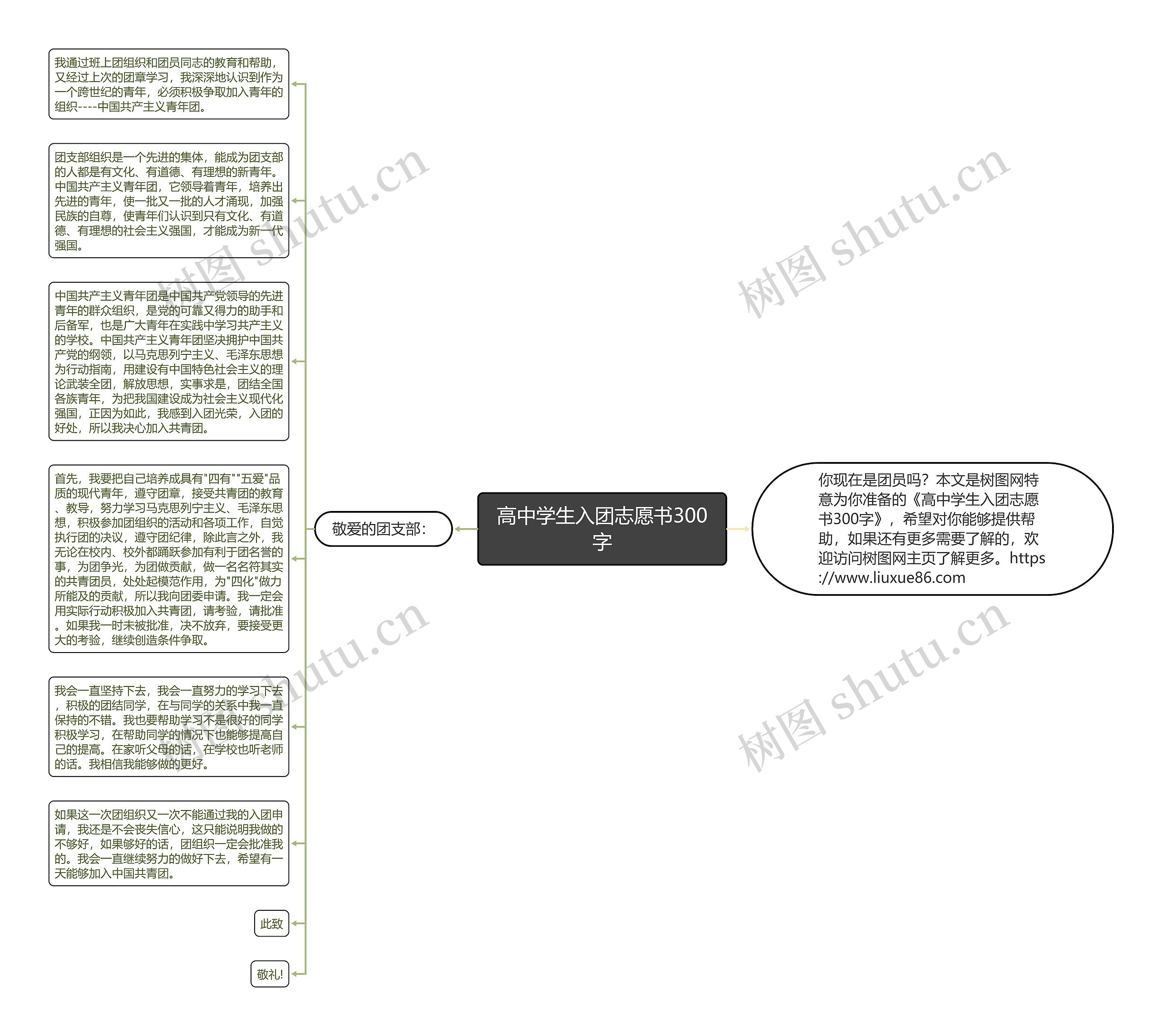 高中学生入团志愿书300字思维导图