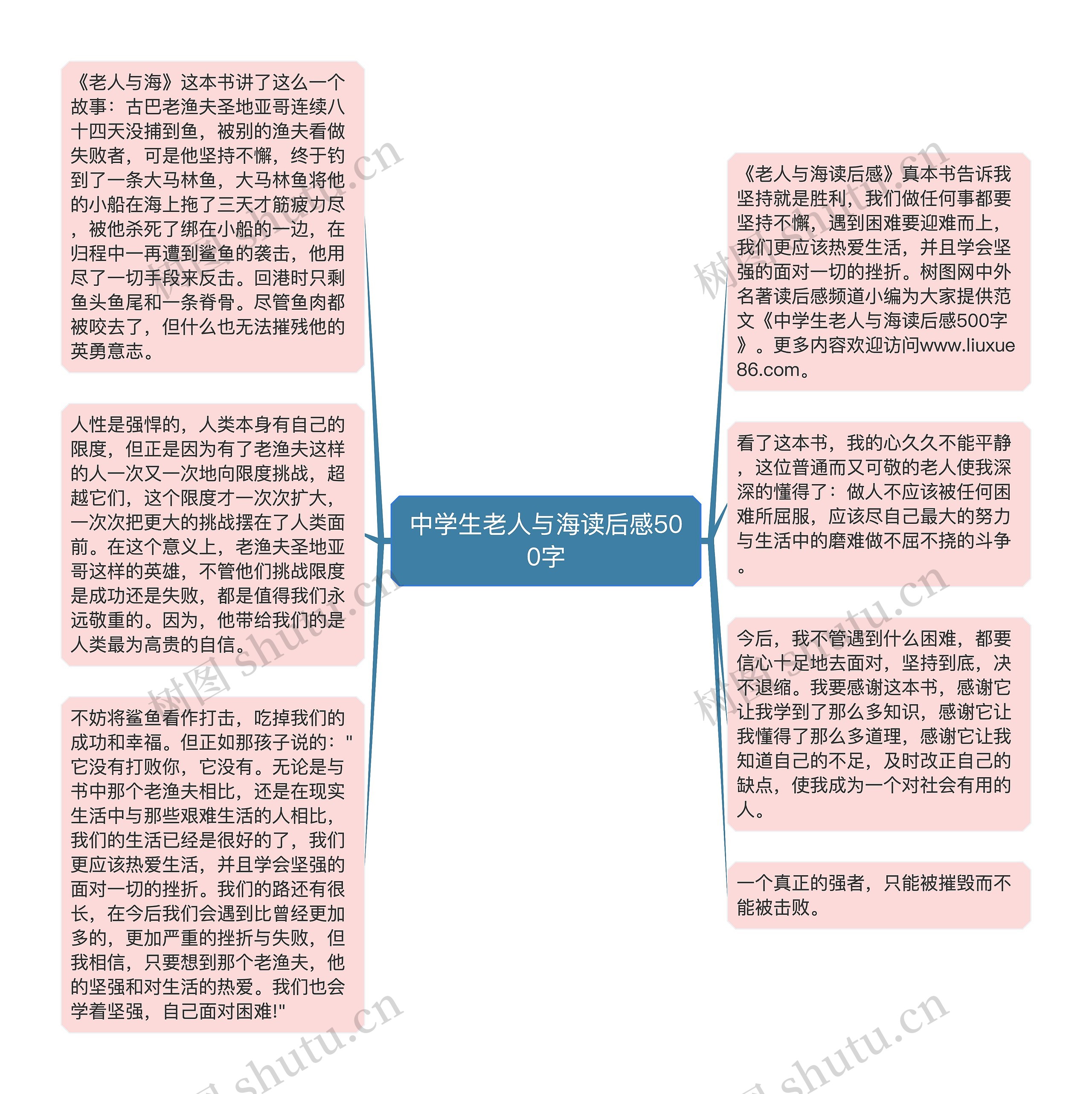 中学生老人与海读后感500字