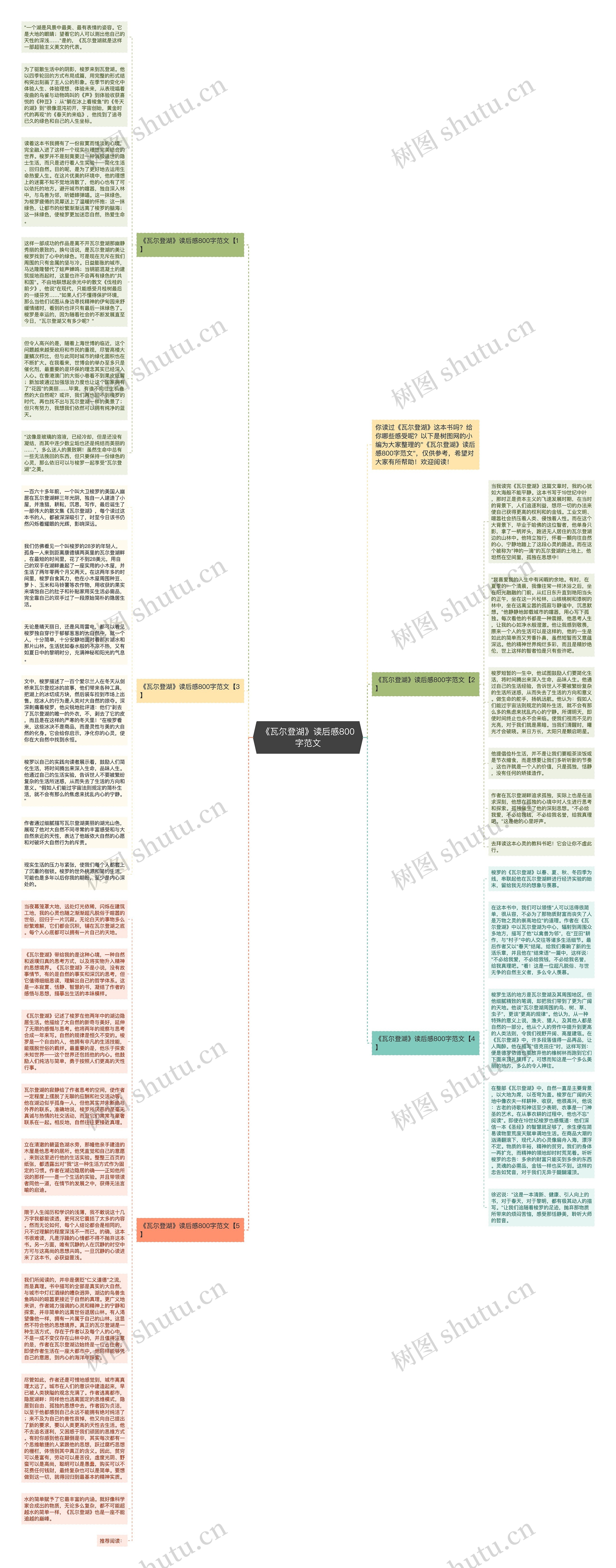 《瓦尔登湖》读后感800字范文思维导图