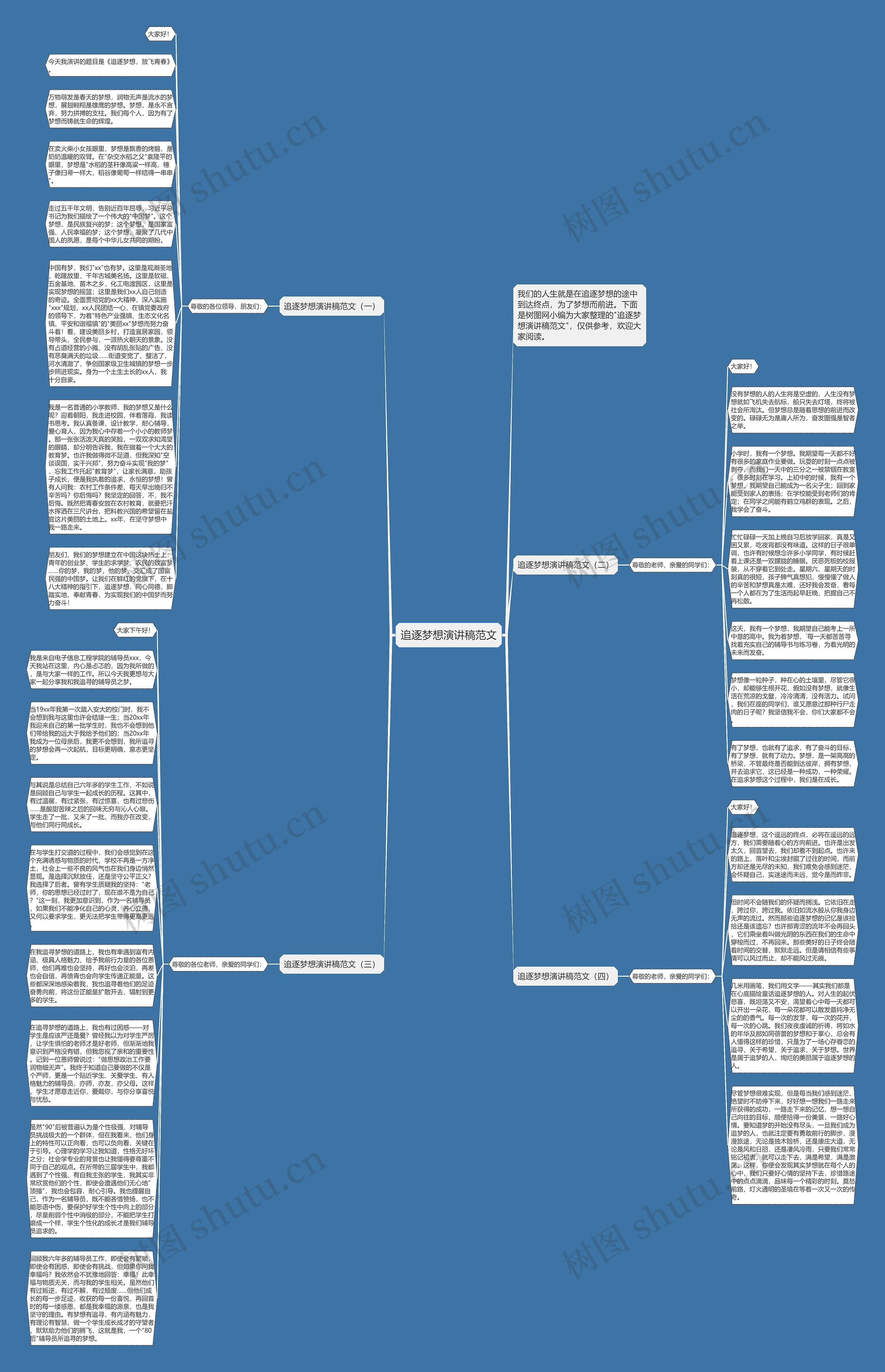 追逐梦想演讲稿范文思维导图