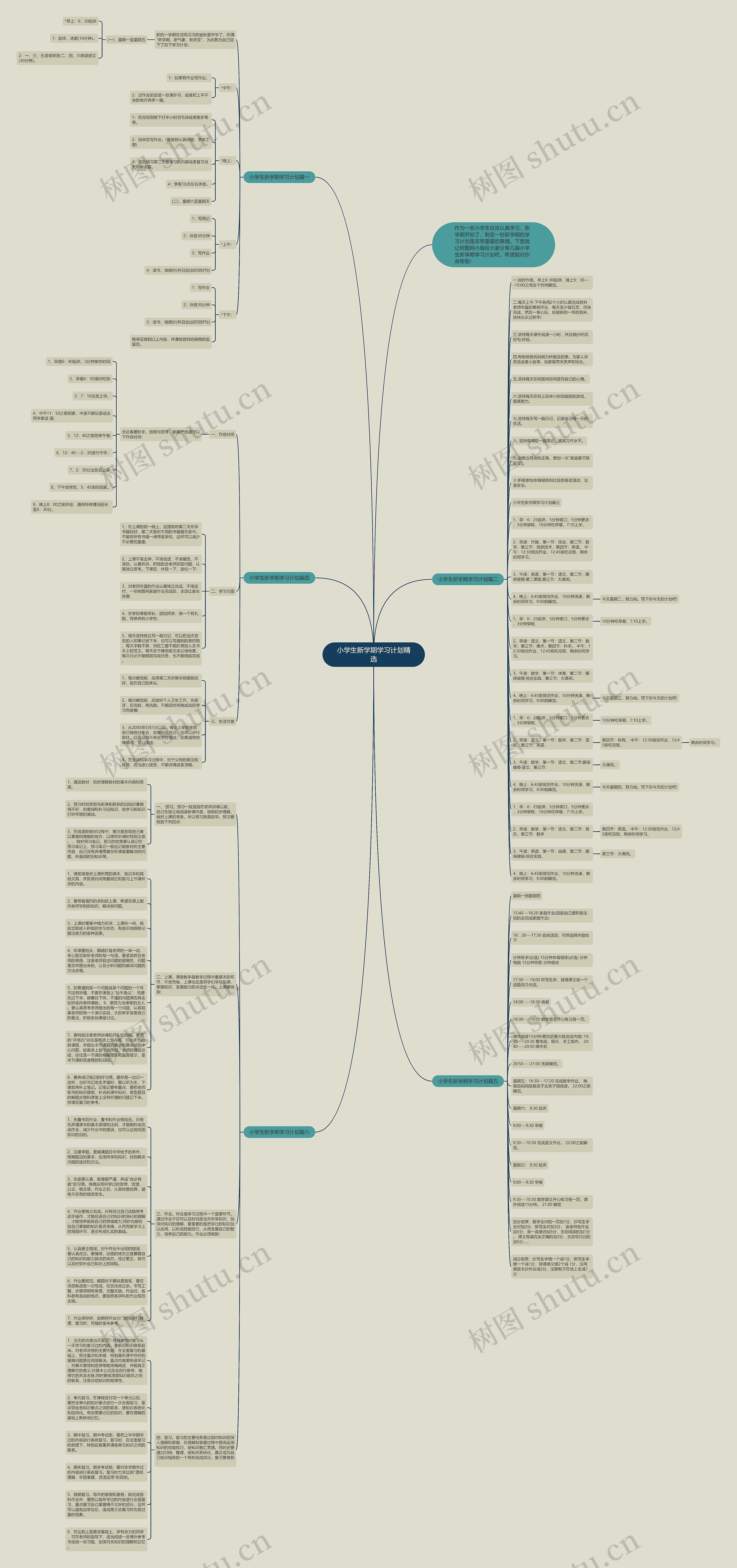 小学生新学期学习计划精选思维导图