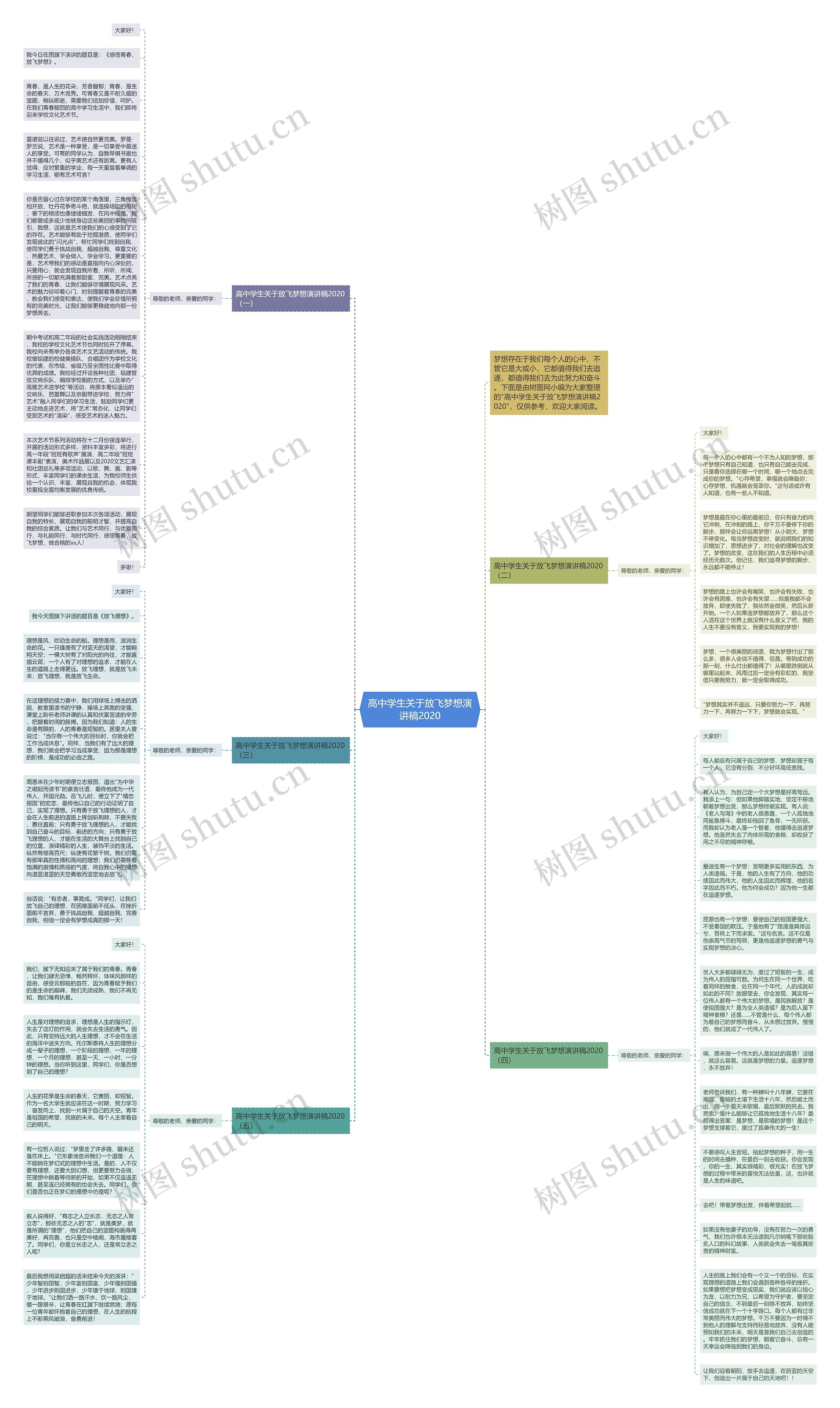高中学生关于放飞梦想演讲稿2020思维导图