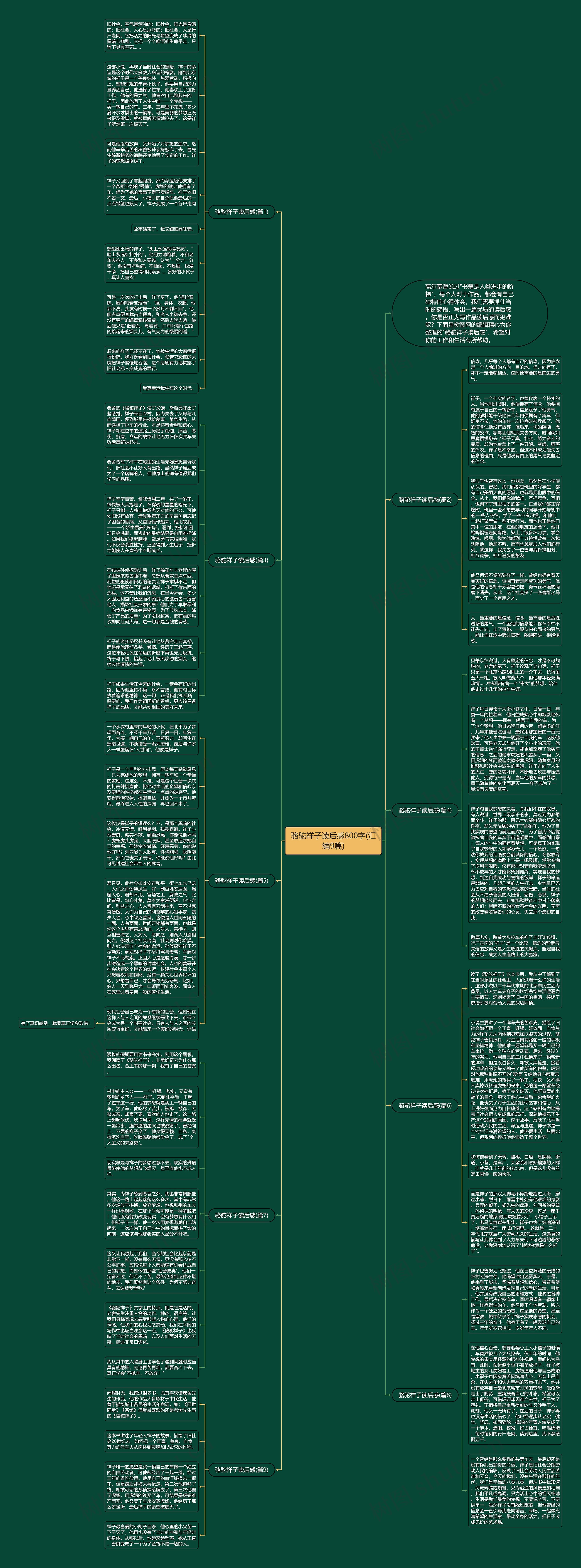 骆驼祥子读后感800字(汇编9篇)思维导图