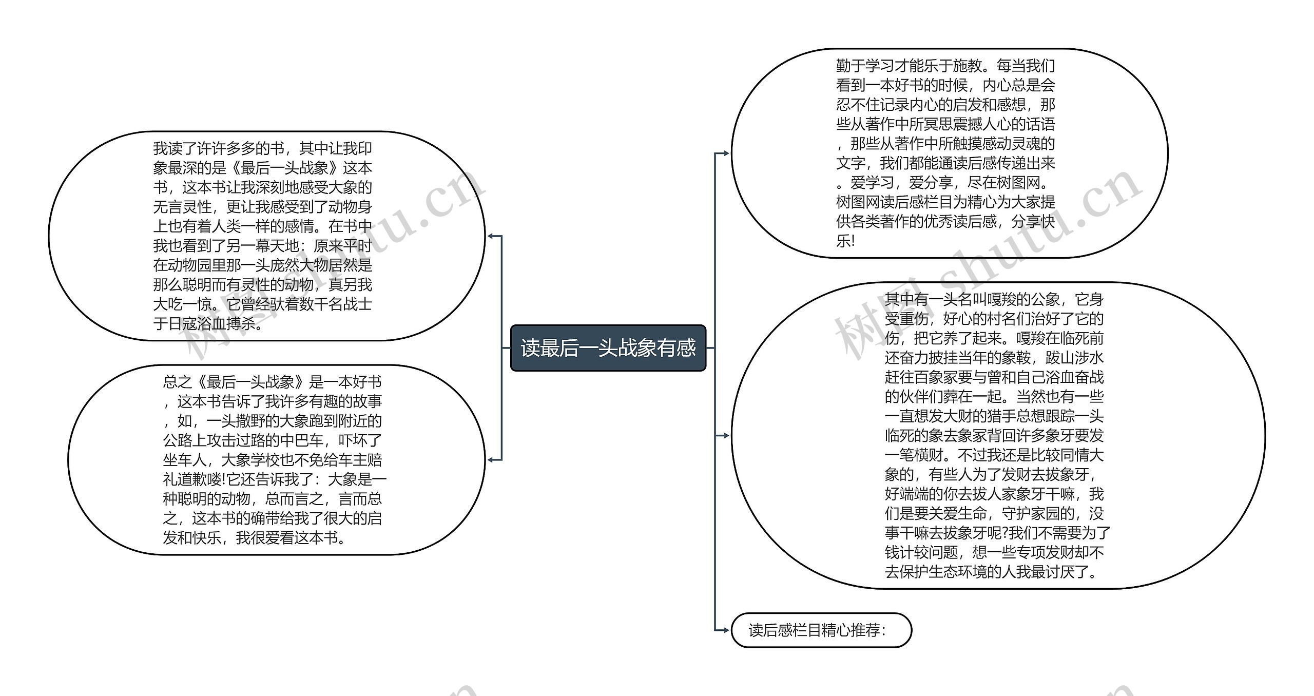 读最后一头战象有感思维导图