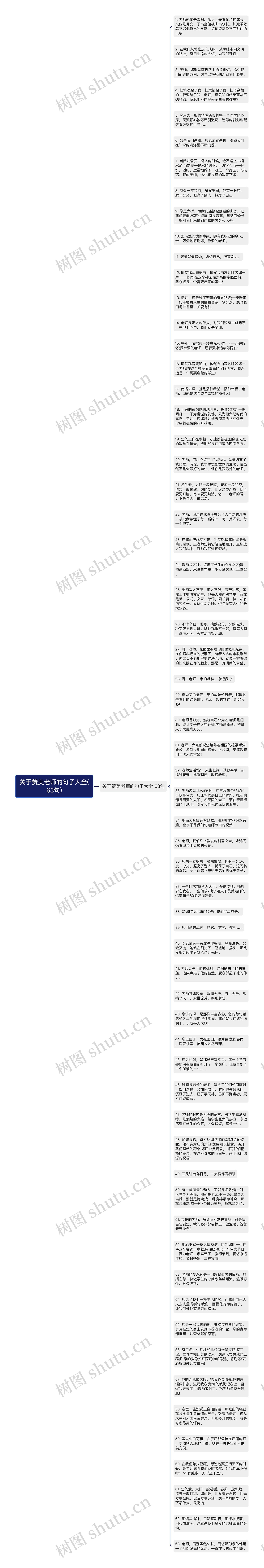 关于赞美老师的句子大全(63句)思维导图