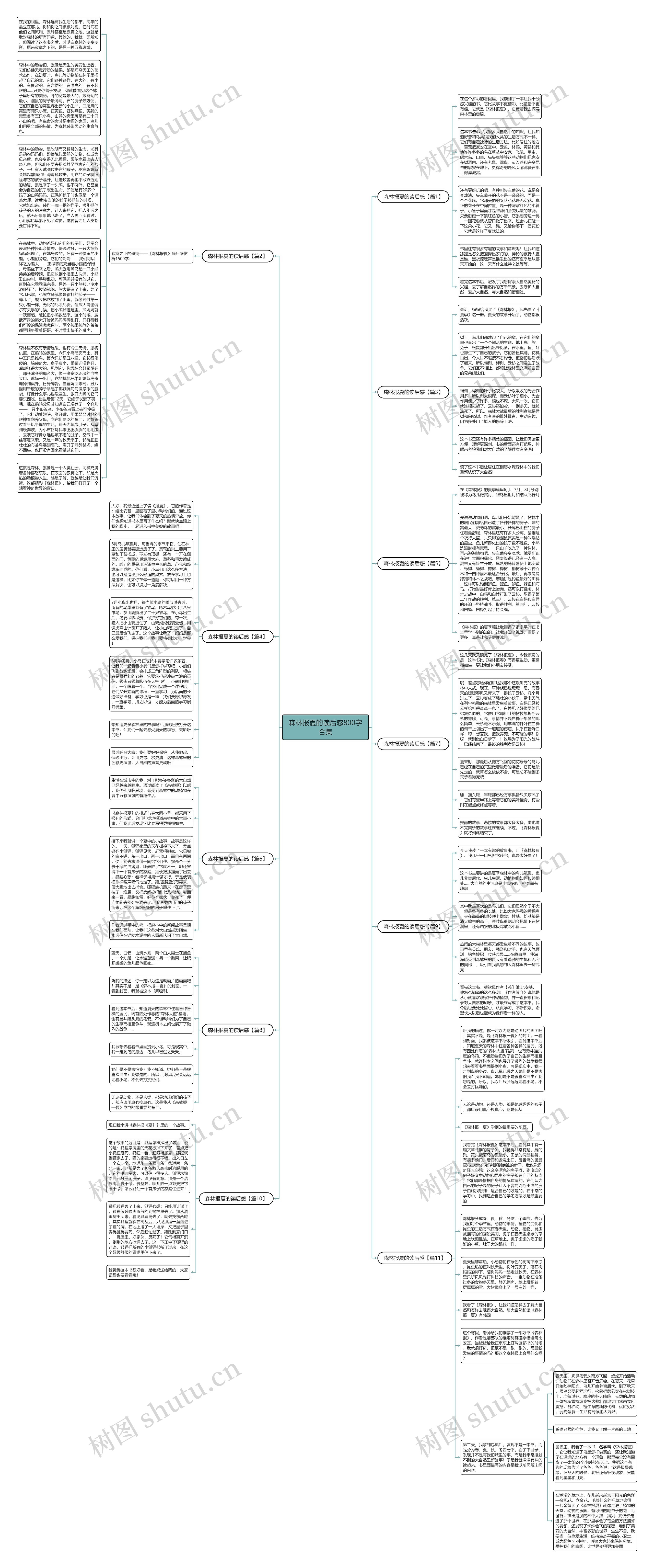 森林报夏的读后感800字合集思维导图