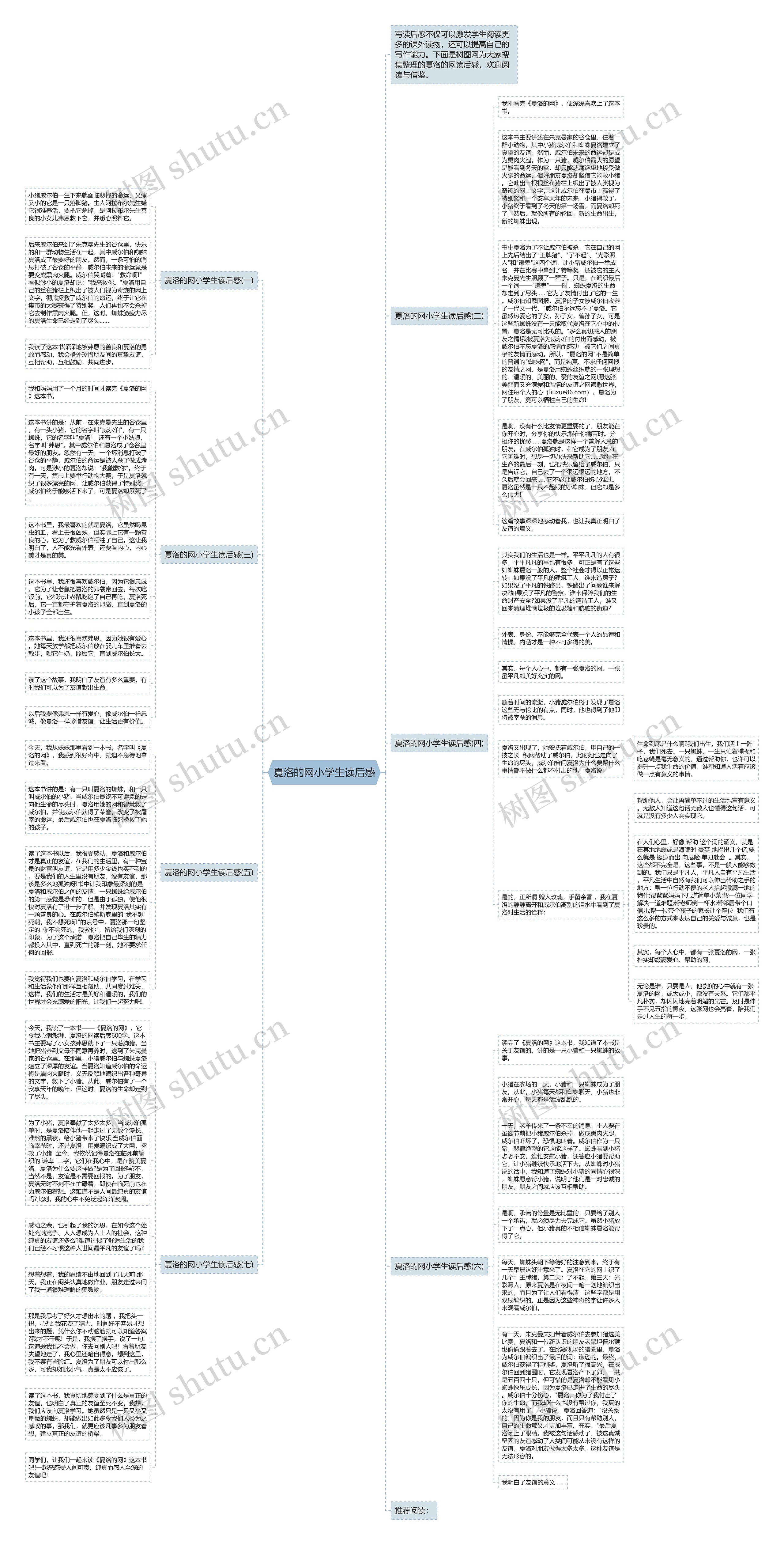 夏洛的网小学生读后感思维导图