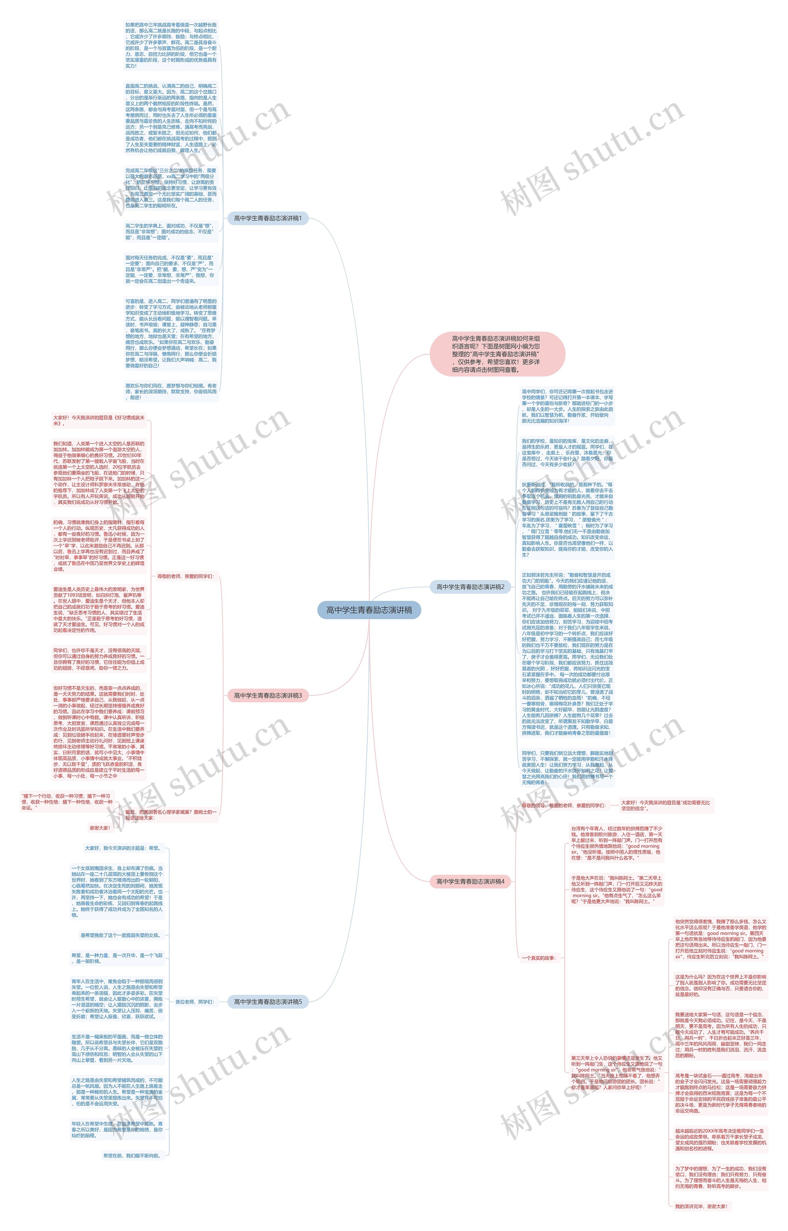 高中学生青春励志演讲稿思维导图