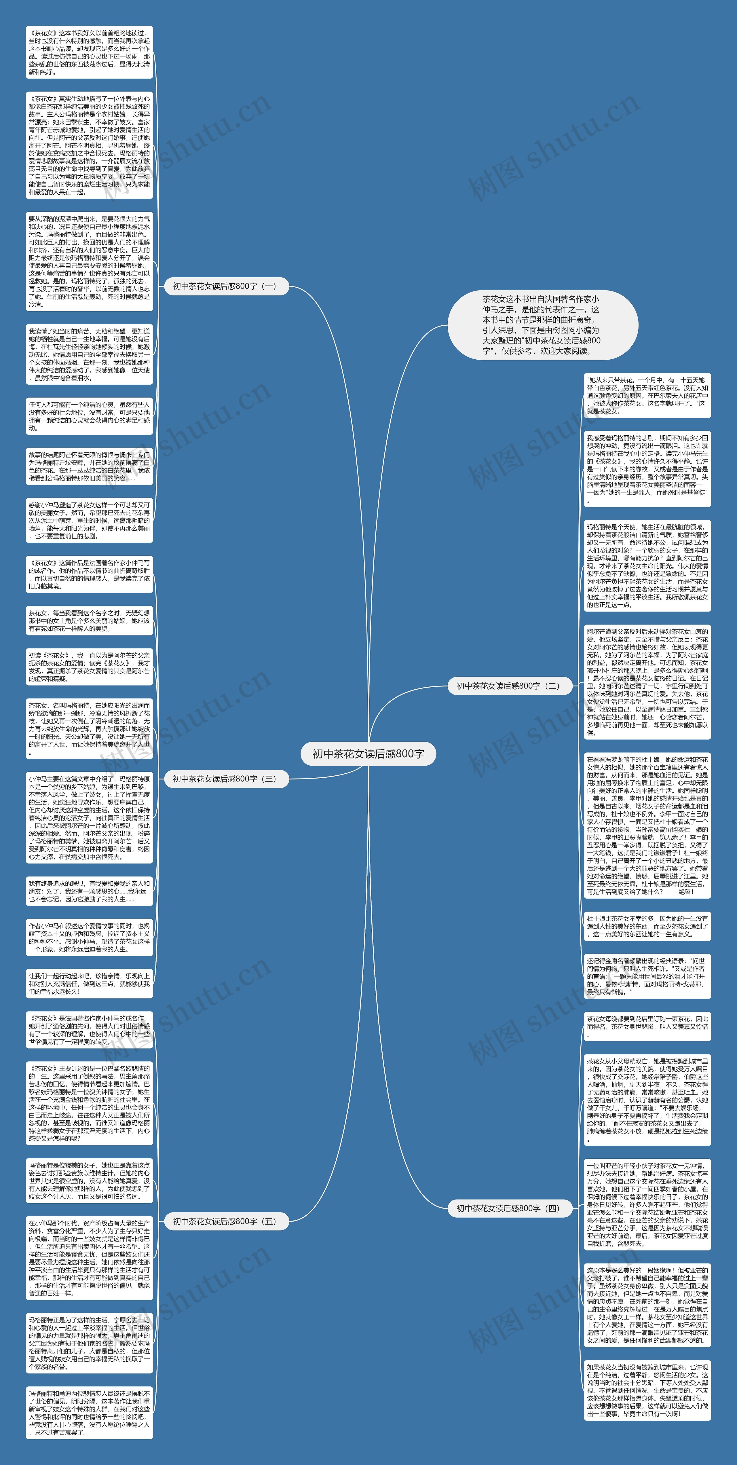 初中茶花女读后感800字思维导图