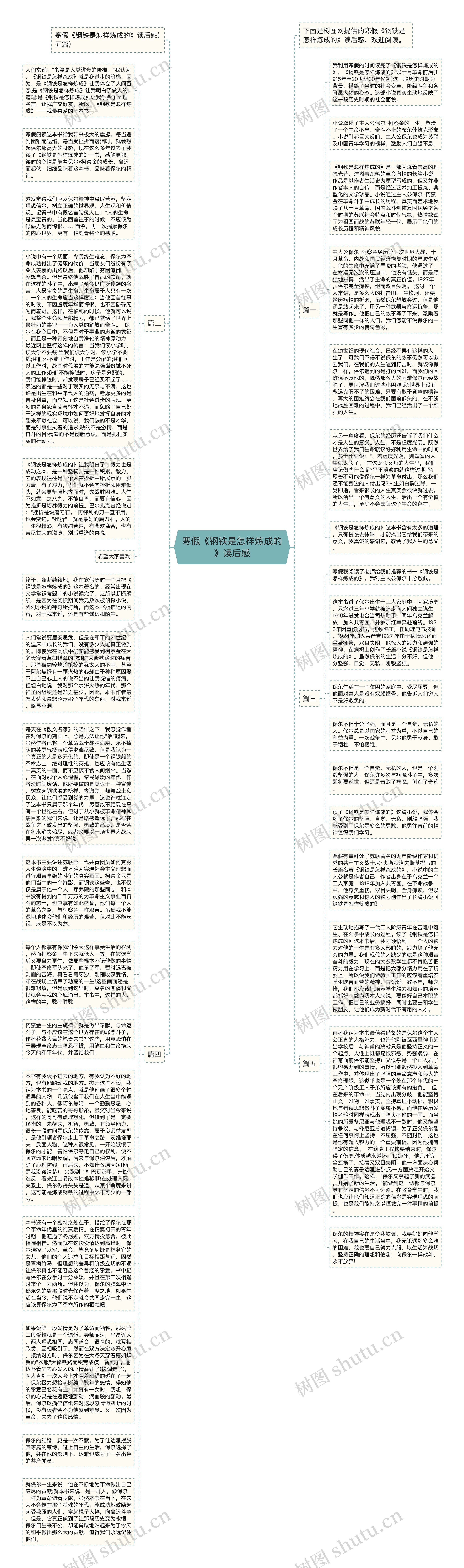 寒假《钢铁是怎样炼成的》读后感