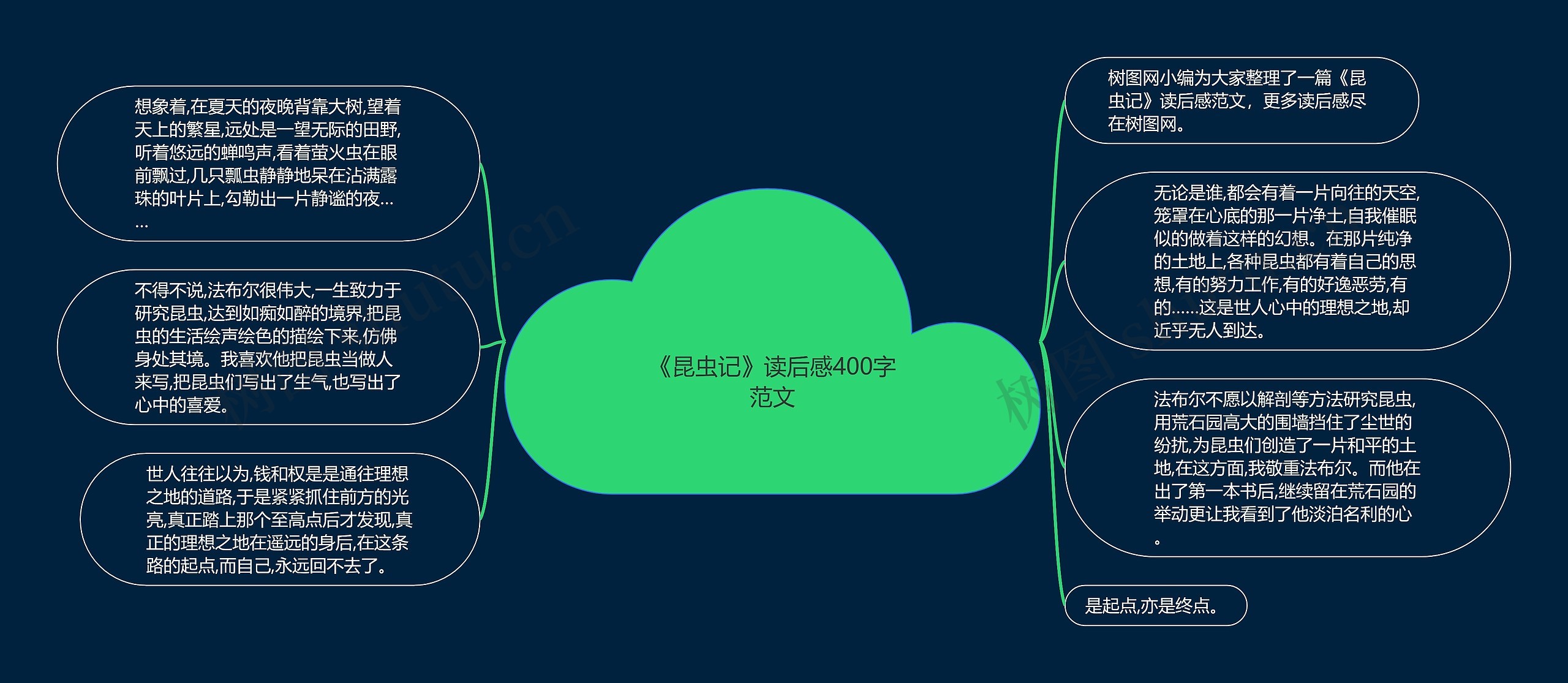 《昆虫记》读后感400字范文