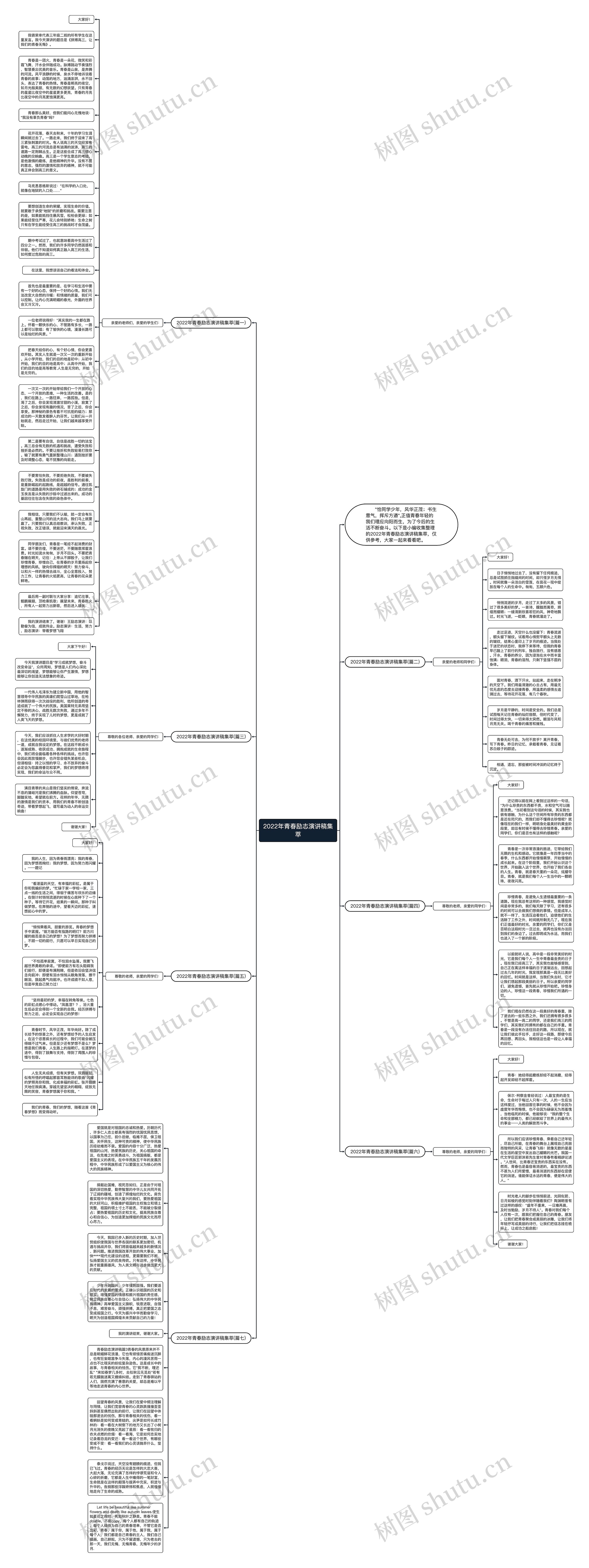 2022年青春励志演讲稿集萃思维导图