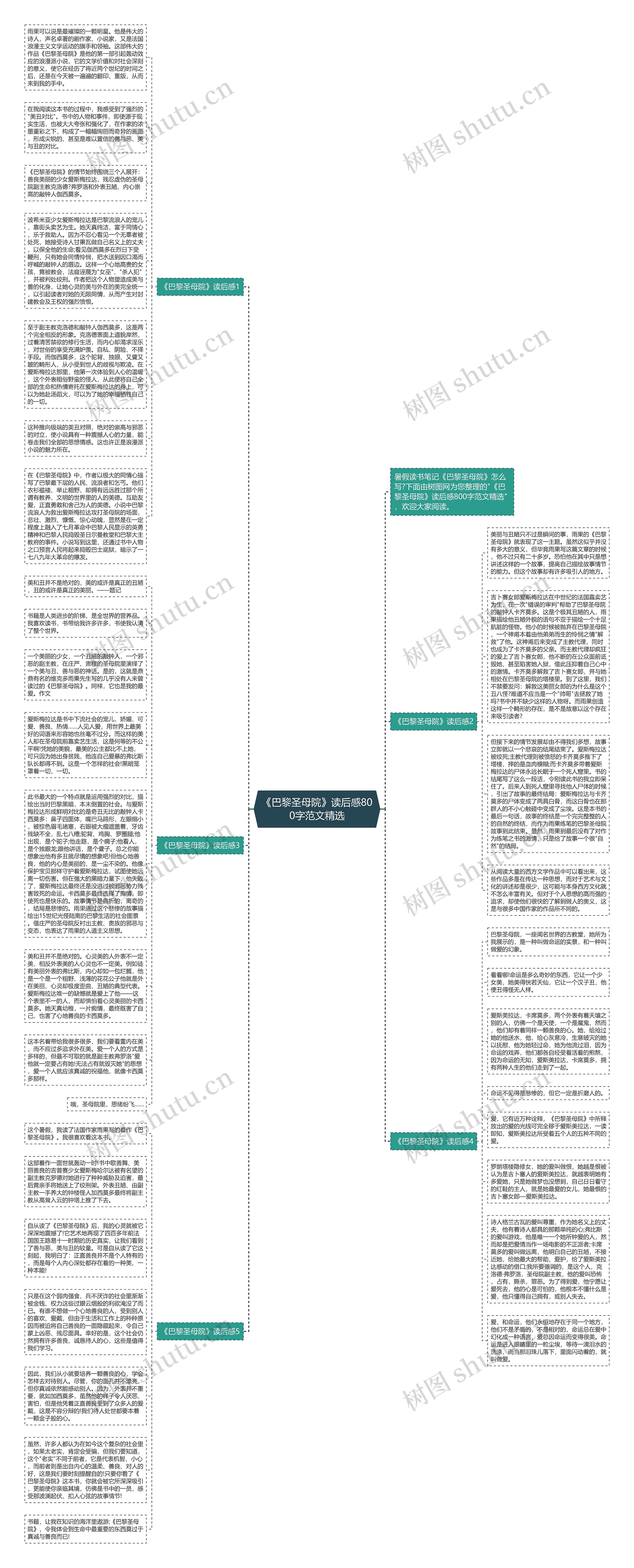 《巴黎圣母院》读后感800字范文精选思维导图