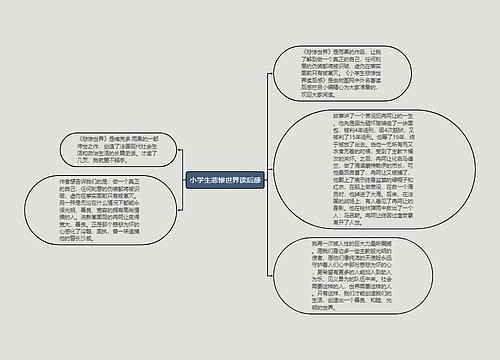 小学生悲惨世界读后感