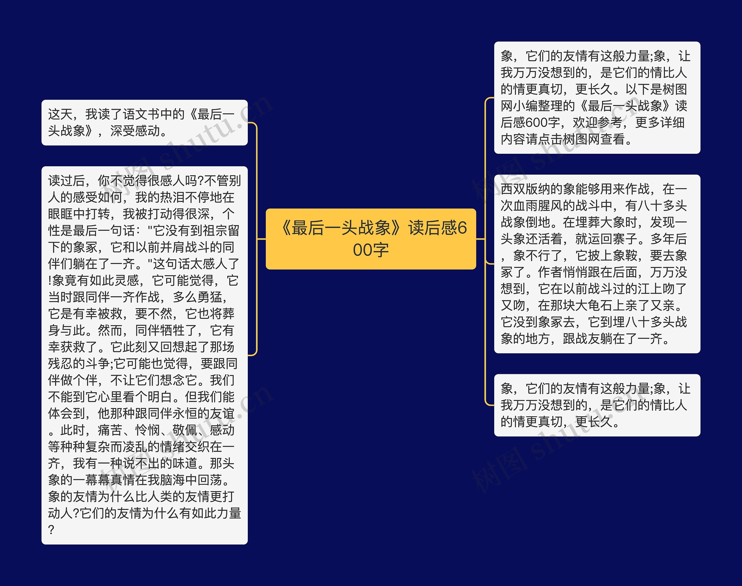 《最后一头战象》读后感600字思维导图