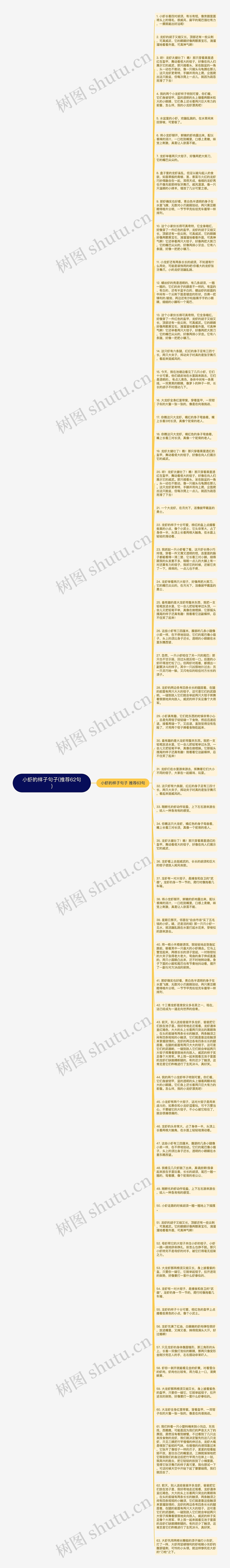 小虾的样子句子(推荐62句)思维导图