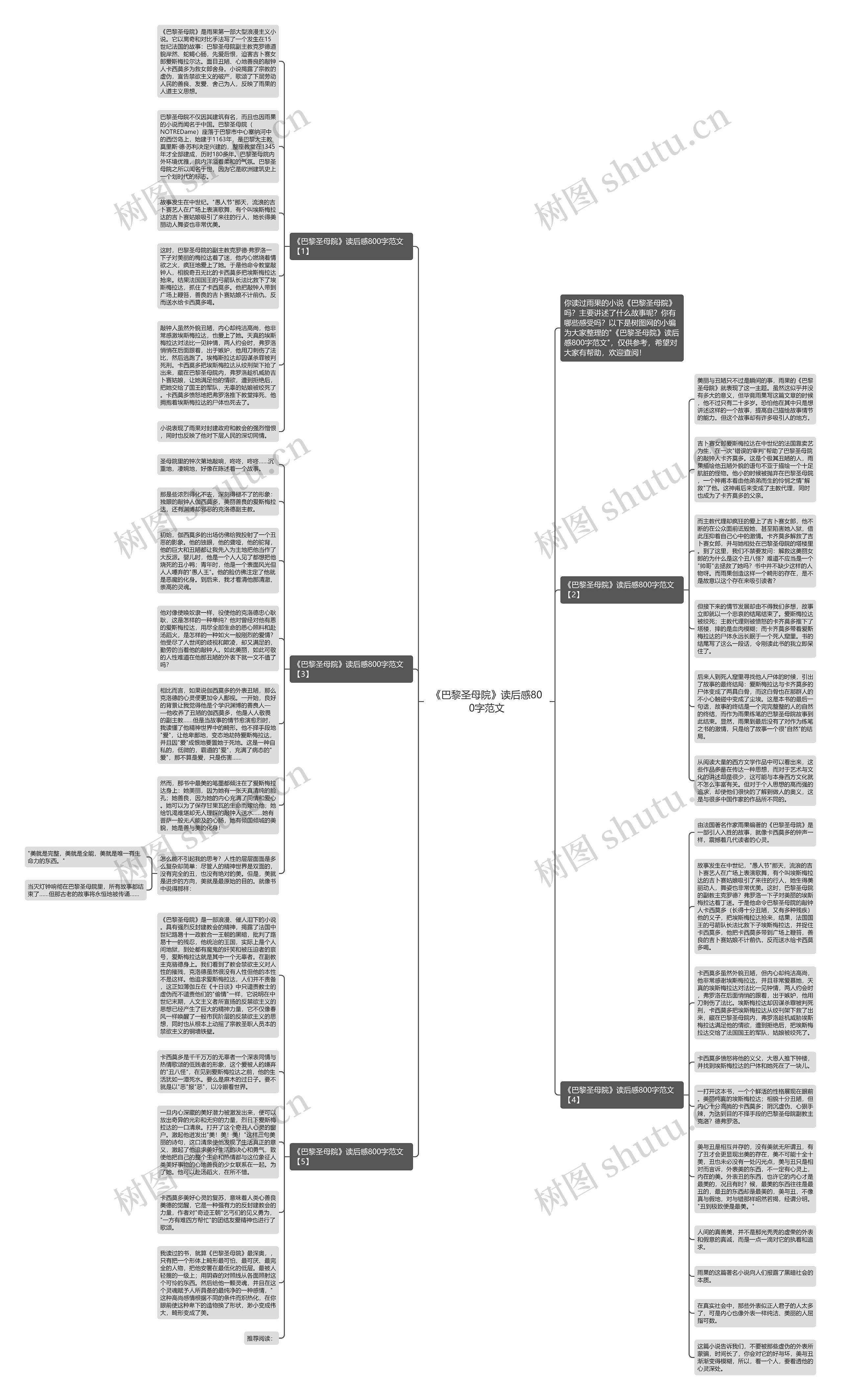 《巴黎圣母院》读后感800字范文思维导图