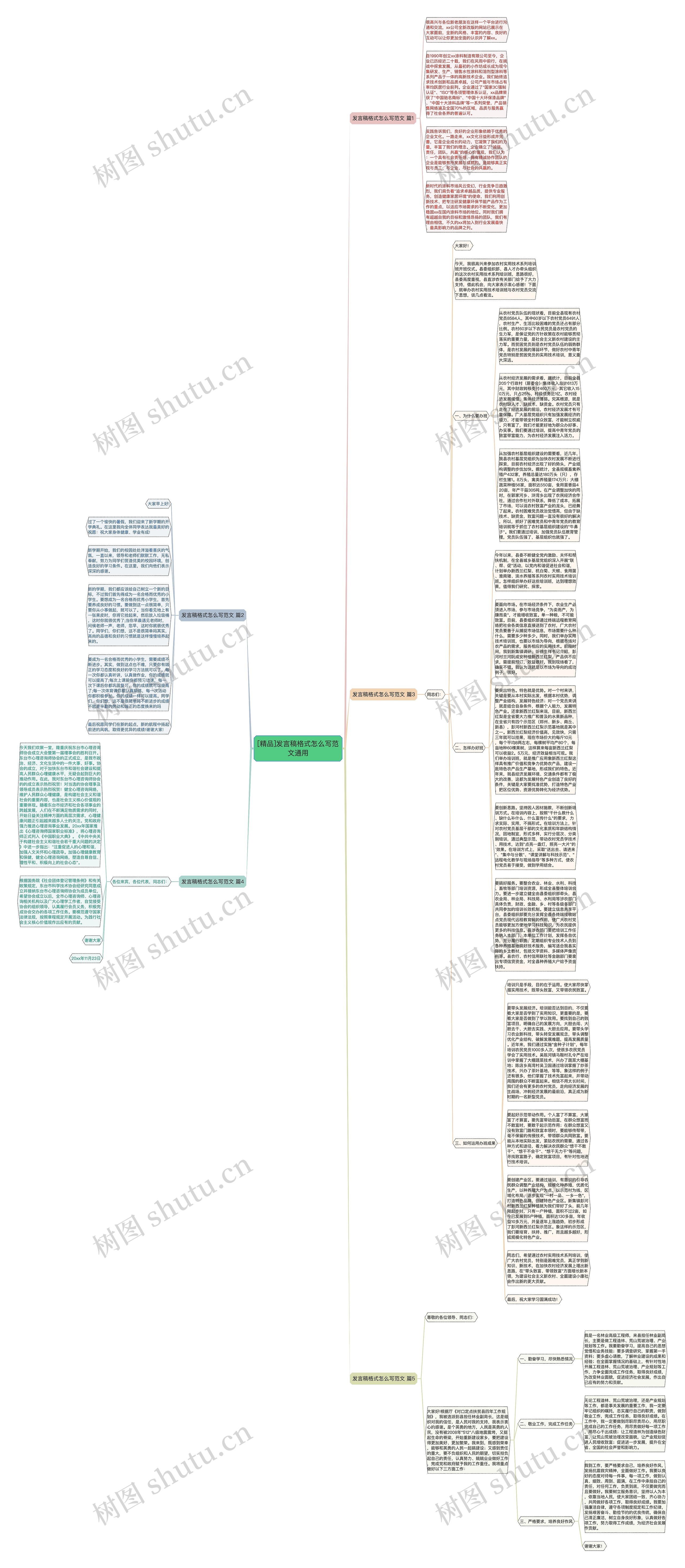 [精品]发言稿格式怎么写范文通用思维导图