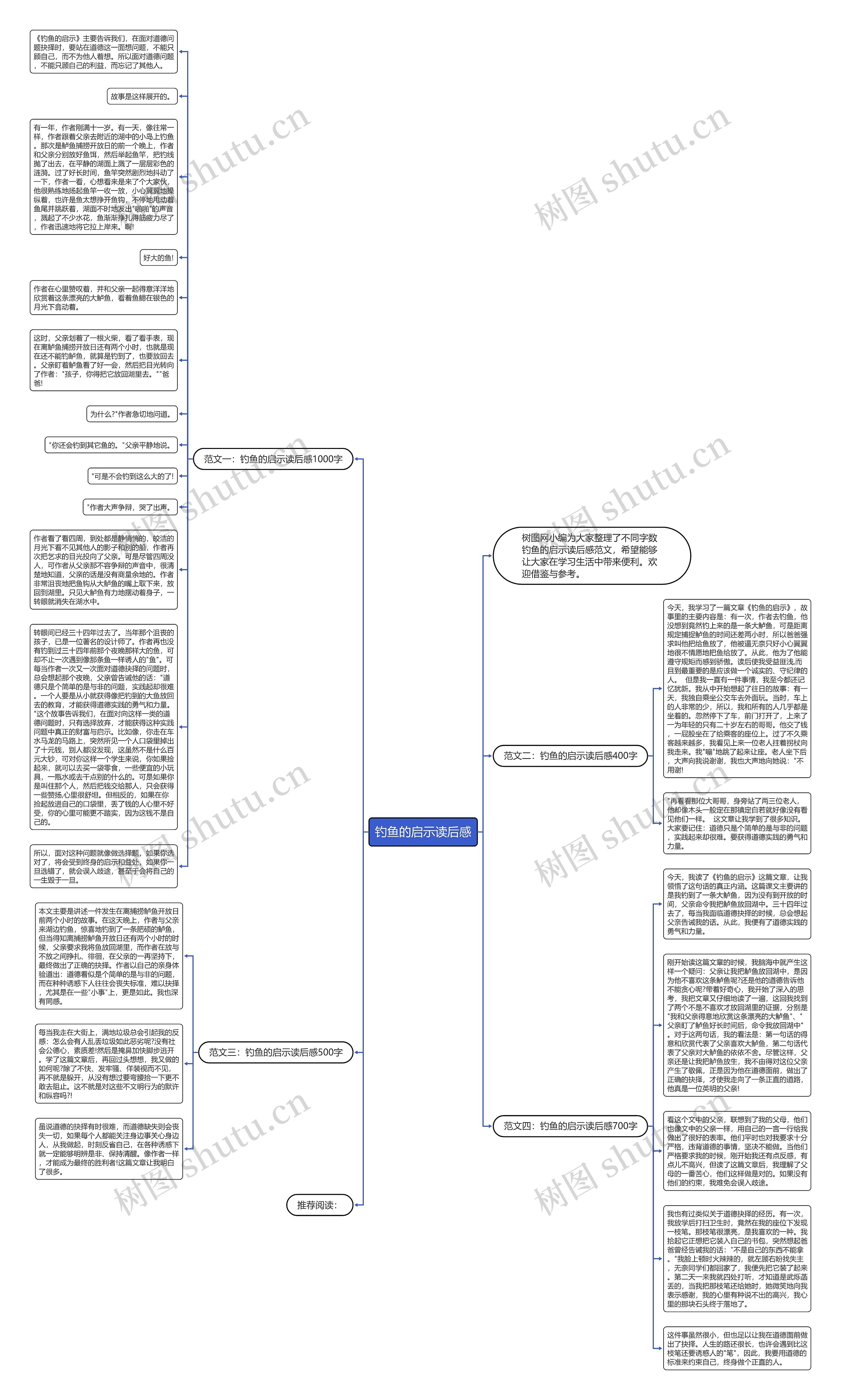 钓鱼的启示读后感思维导图