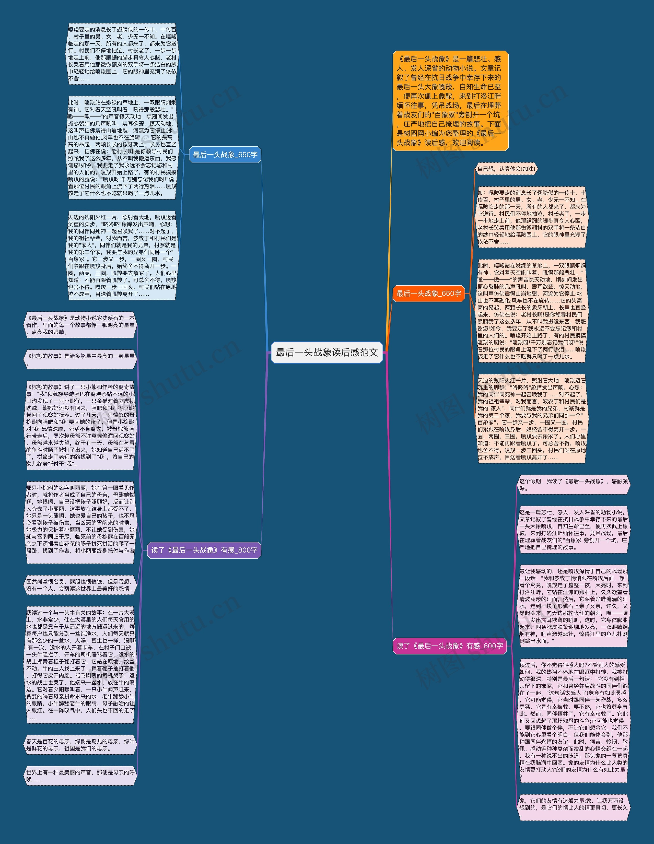 最后一头战象读后感范文思维导图