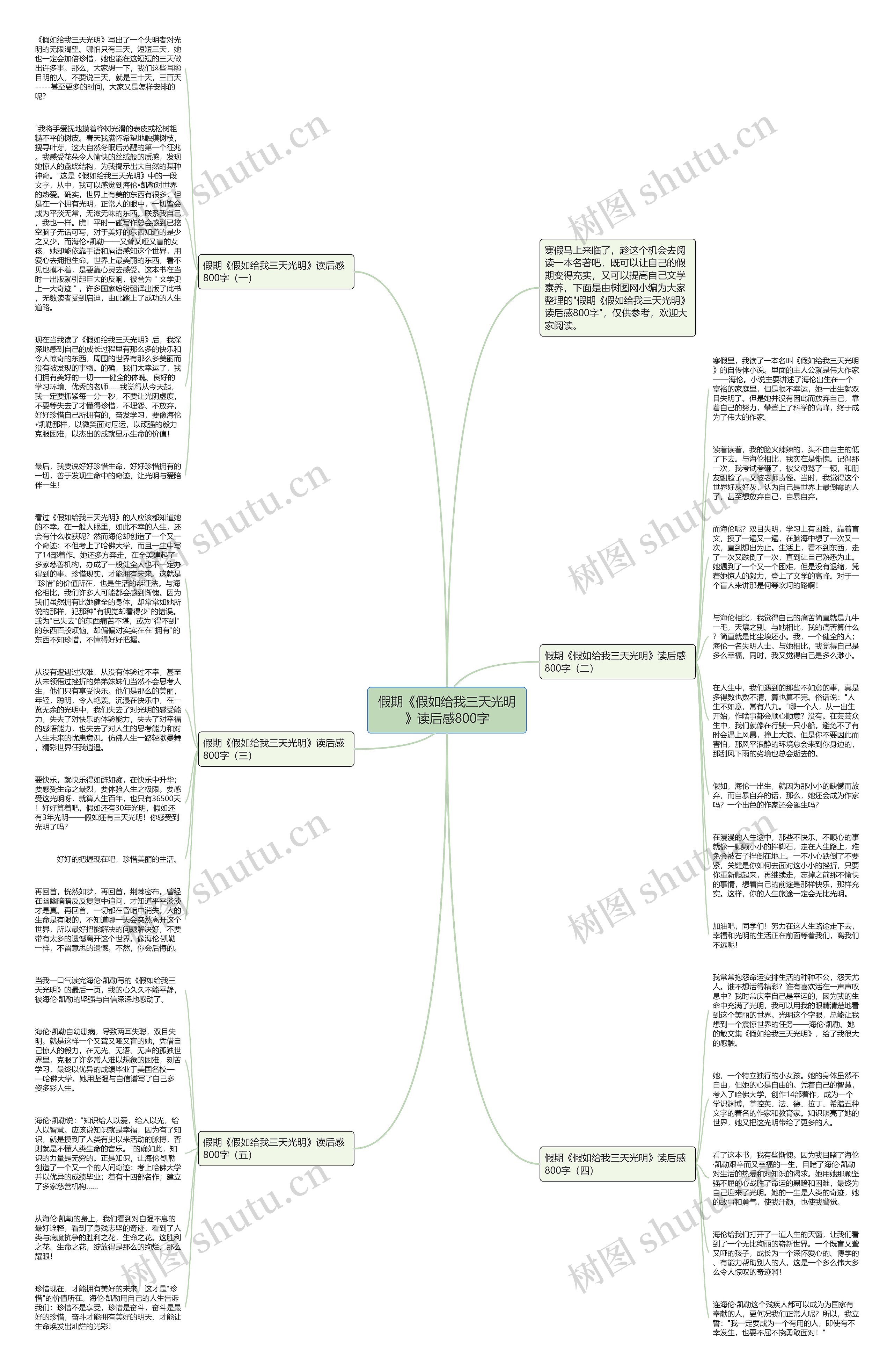假期《假如给我三天光明》读后感800字思维导图