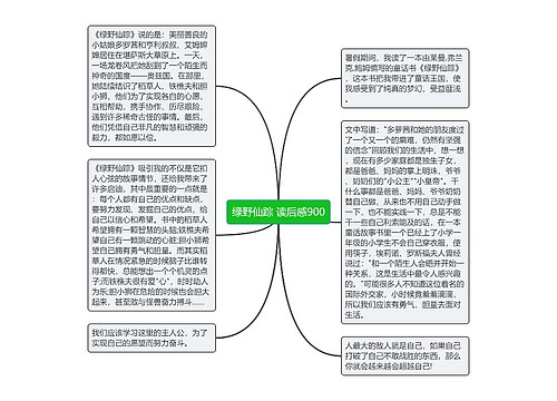 绿野仙踪 读后感900