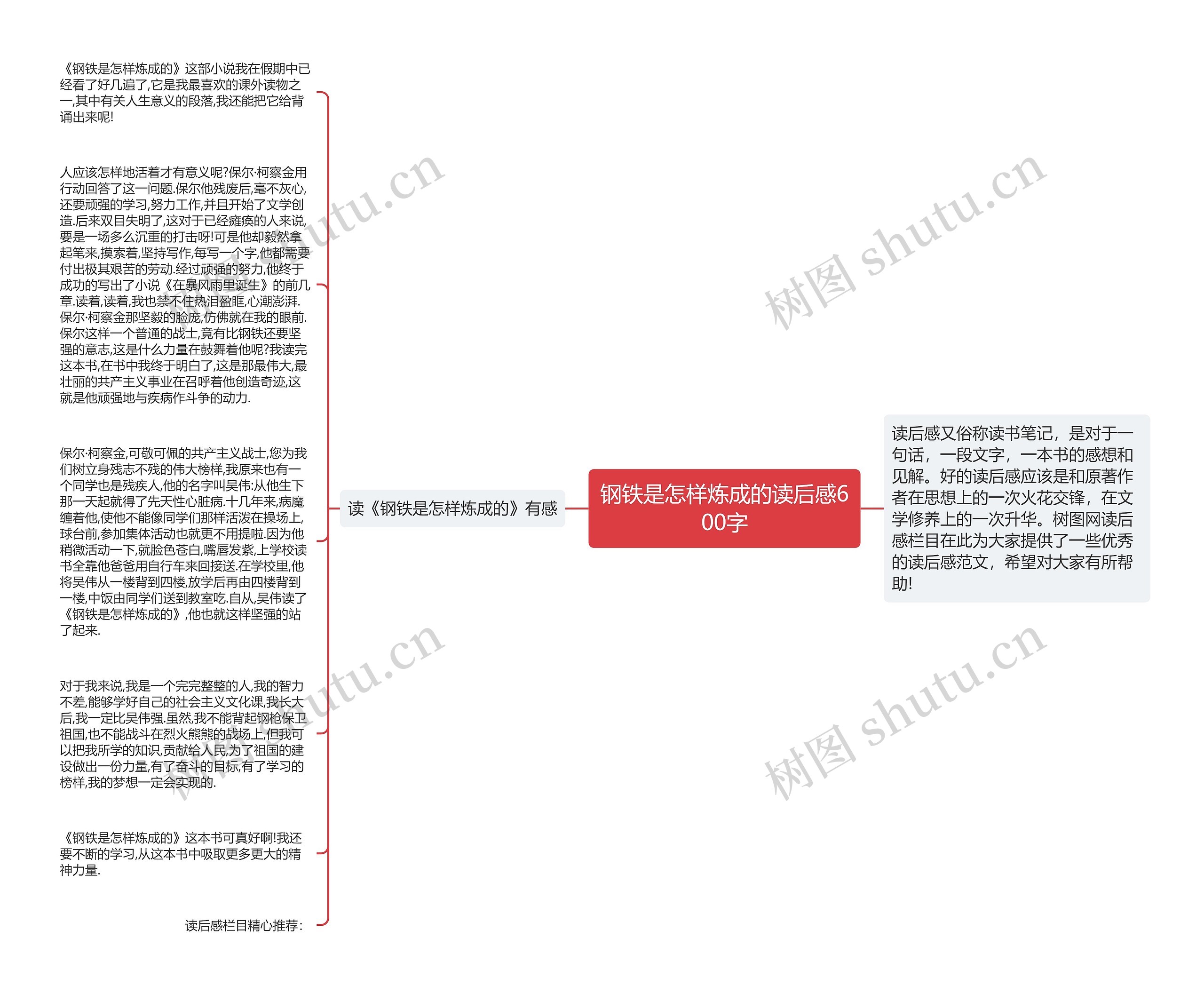 钢铁是怎样炼成的读后感600字