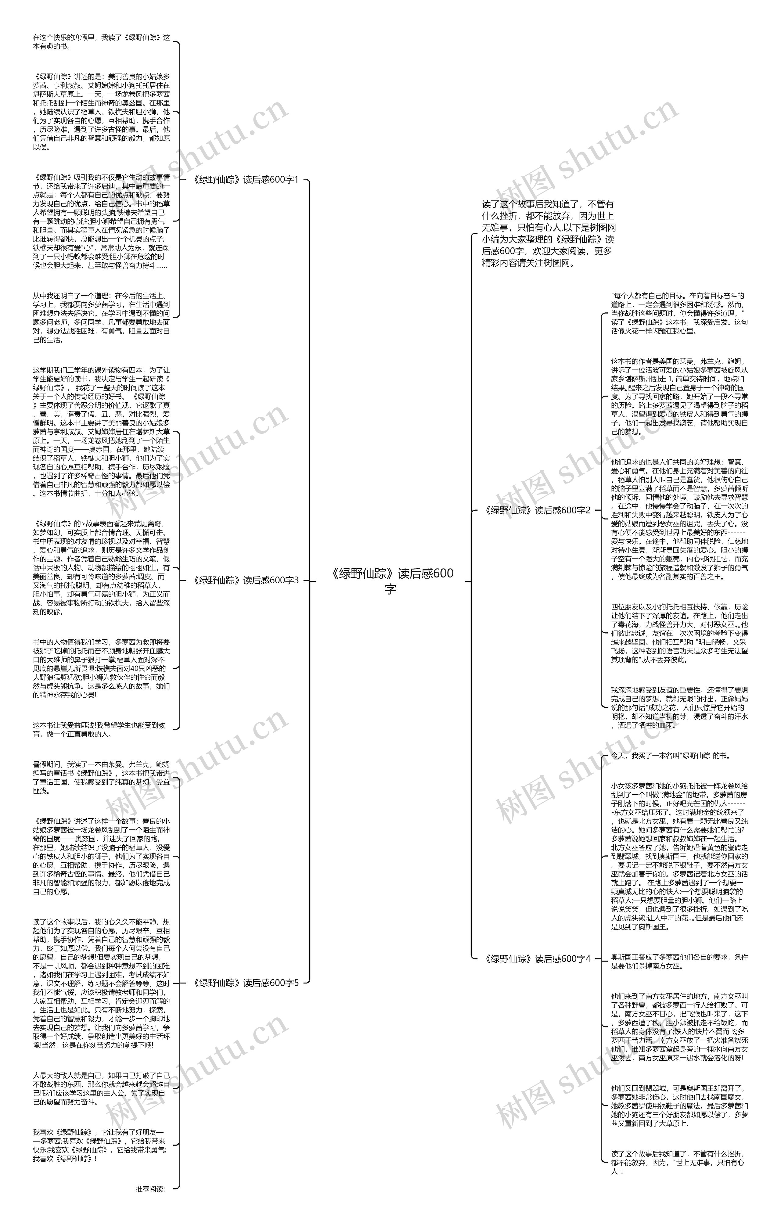 《绿野仙踪》读后感600字