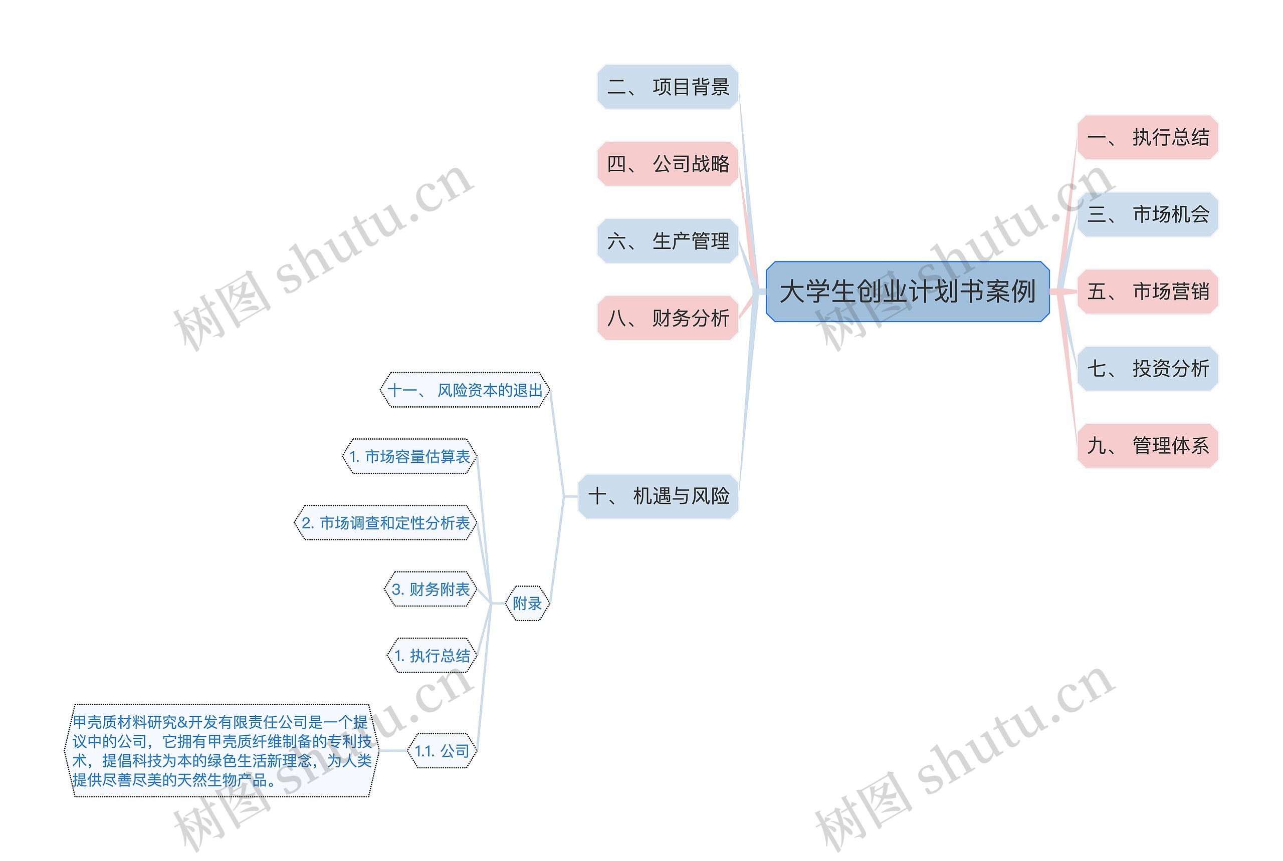 大学生创业计划书案例思维导图