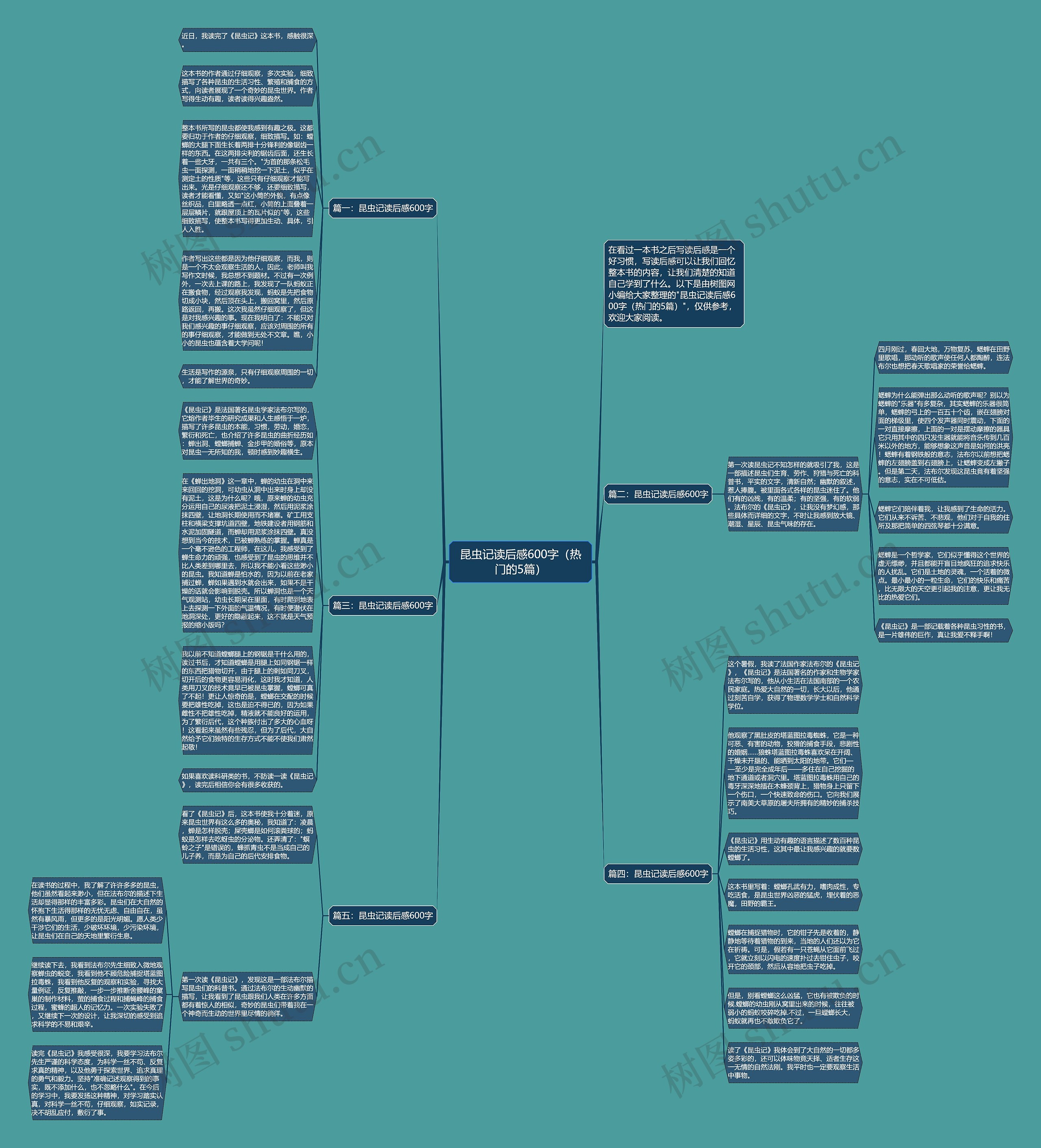 昆虫记读后感600字（热门的5篇）思维导图